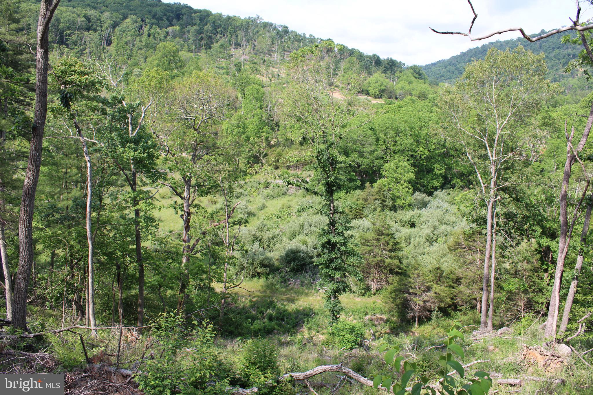 NONE UNRESTRICTED - Land