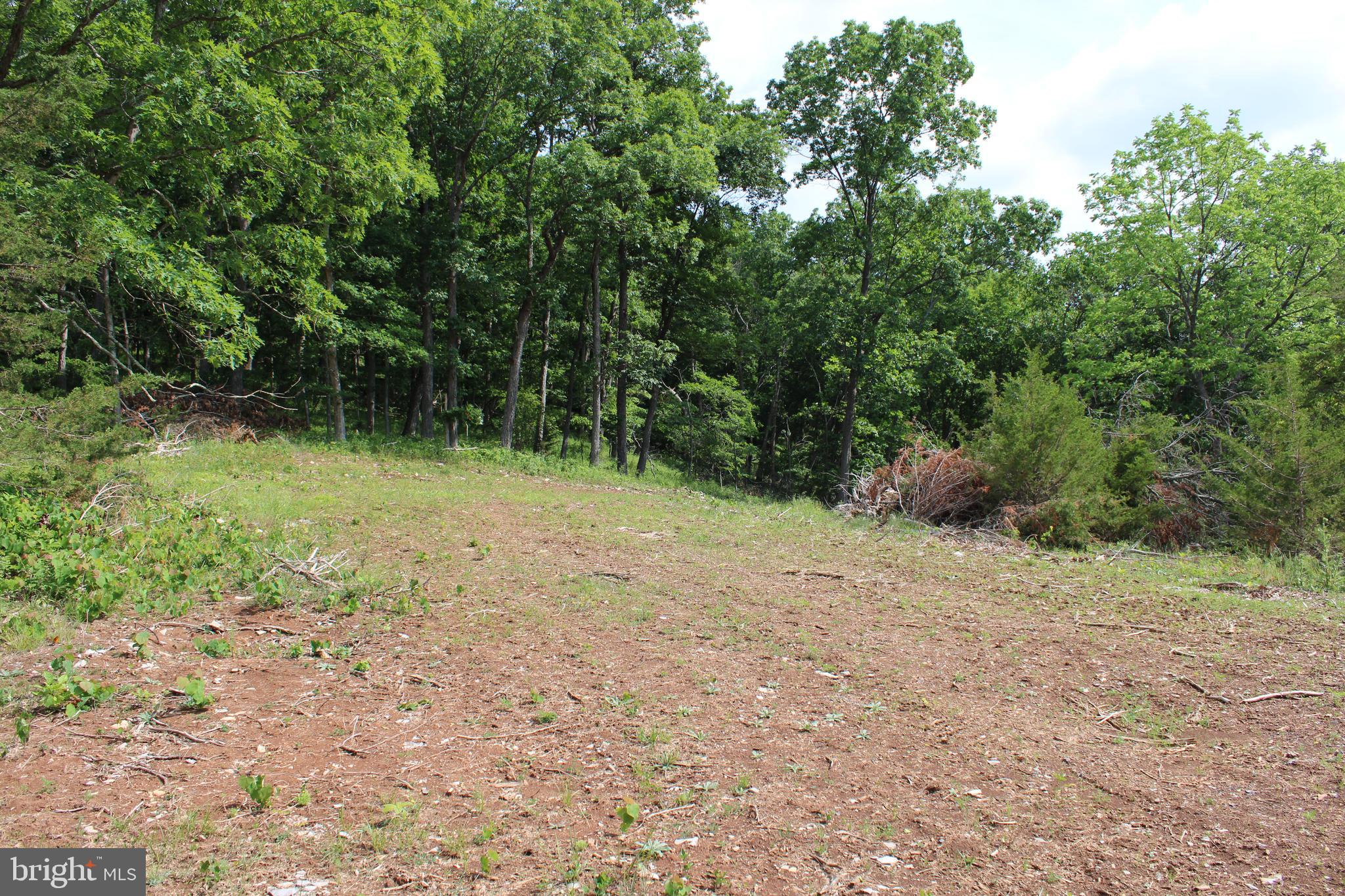 NONE UNRESTRICTED - Land