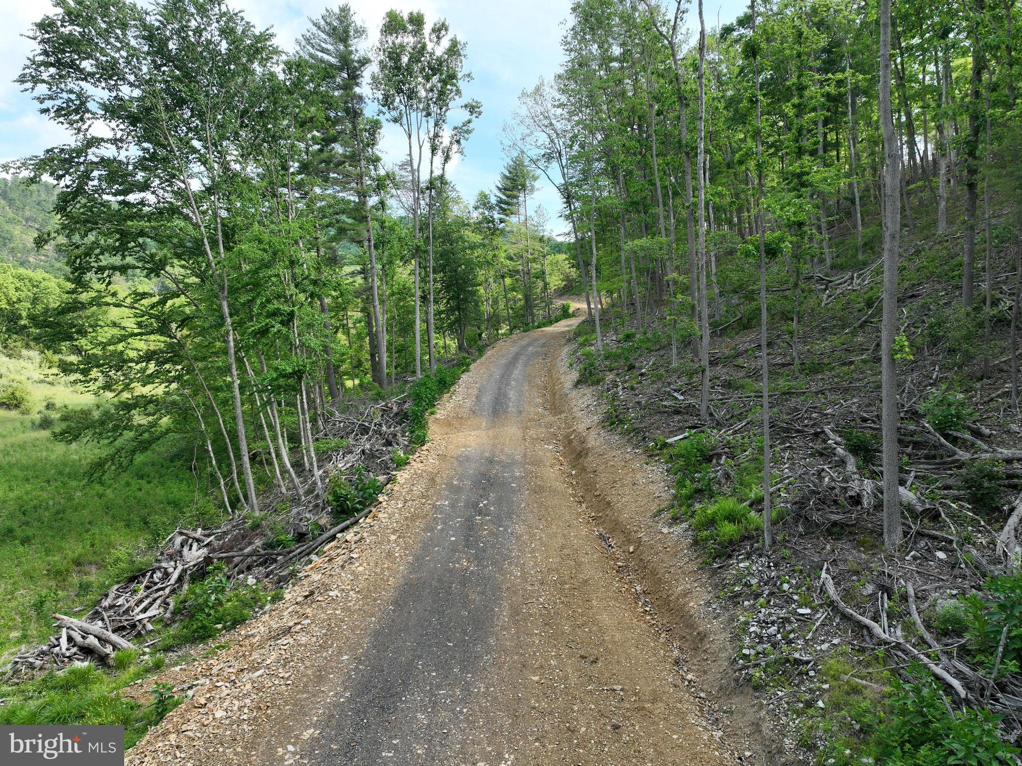 686.10 Acres THORN BOTTOM RD