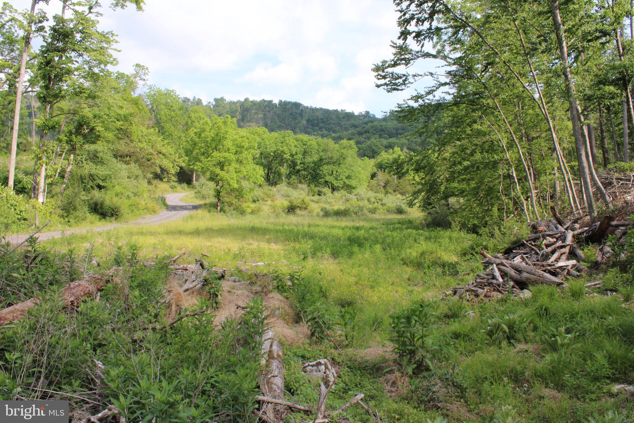 NONE UNRESTRICTED - Land