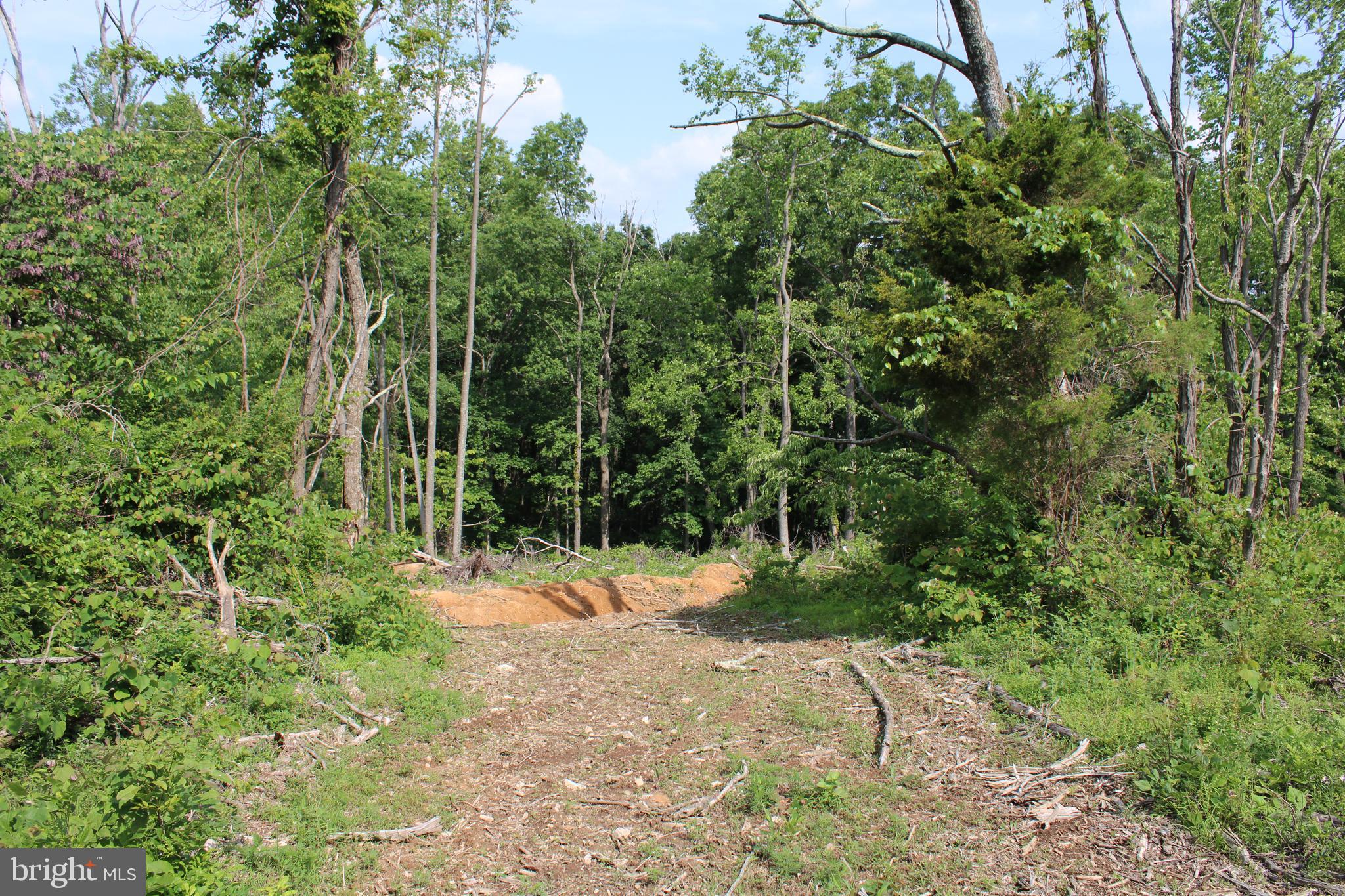 NONE UNRESTRICTED - Land