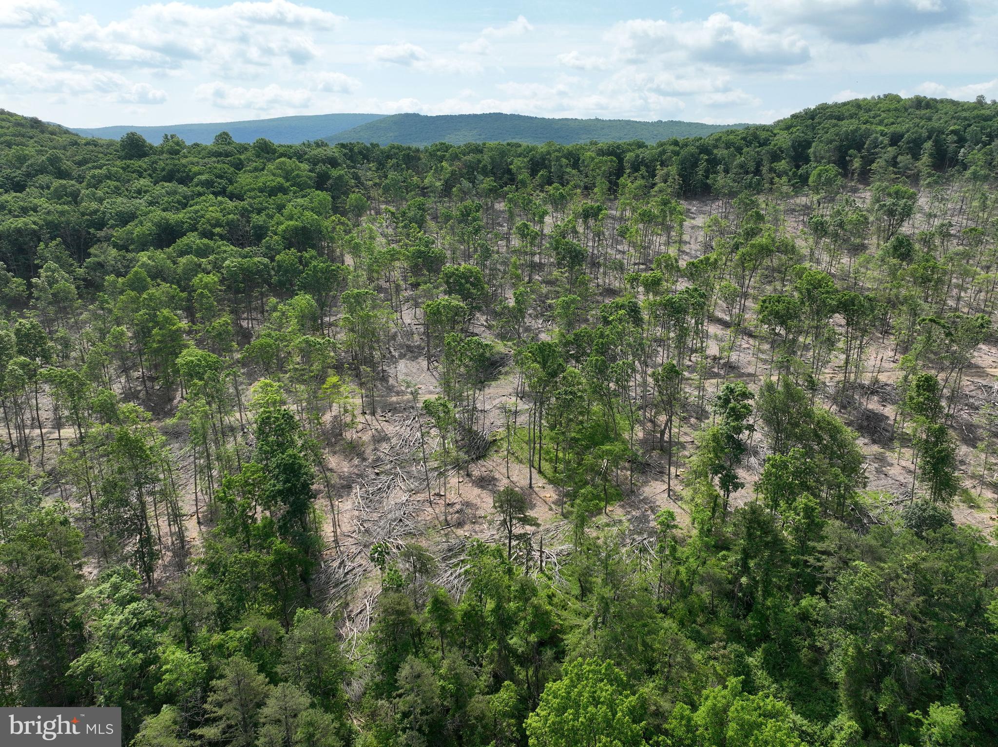 NONE UNRESTRICTED - Land