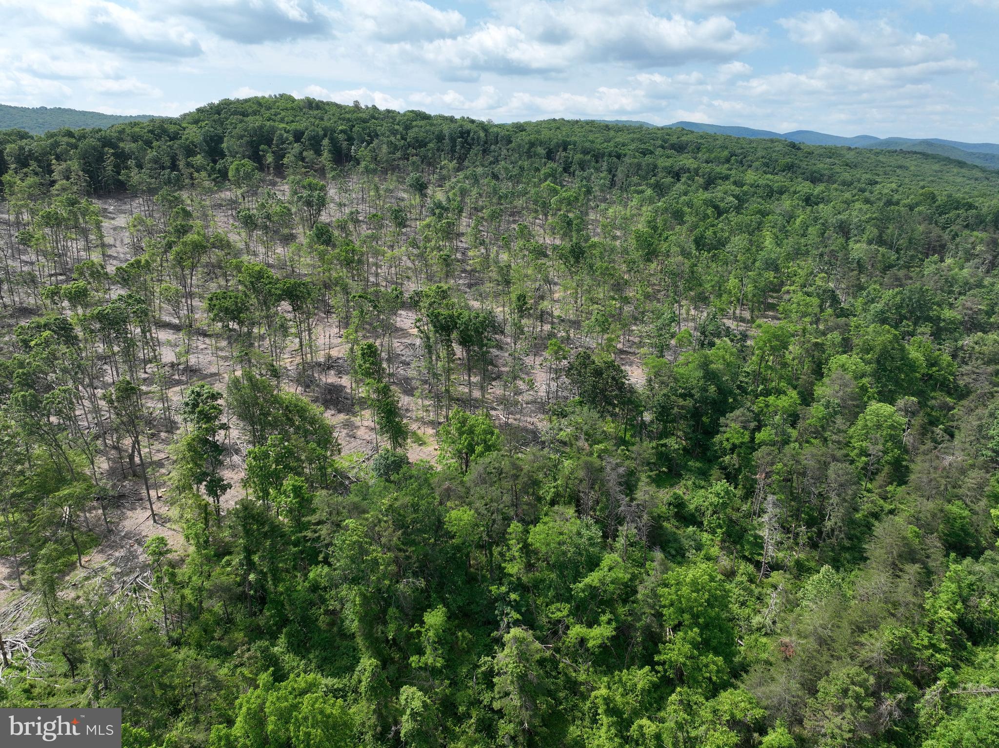 NONE UNRESTRICTED - Land