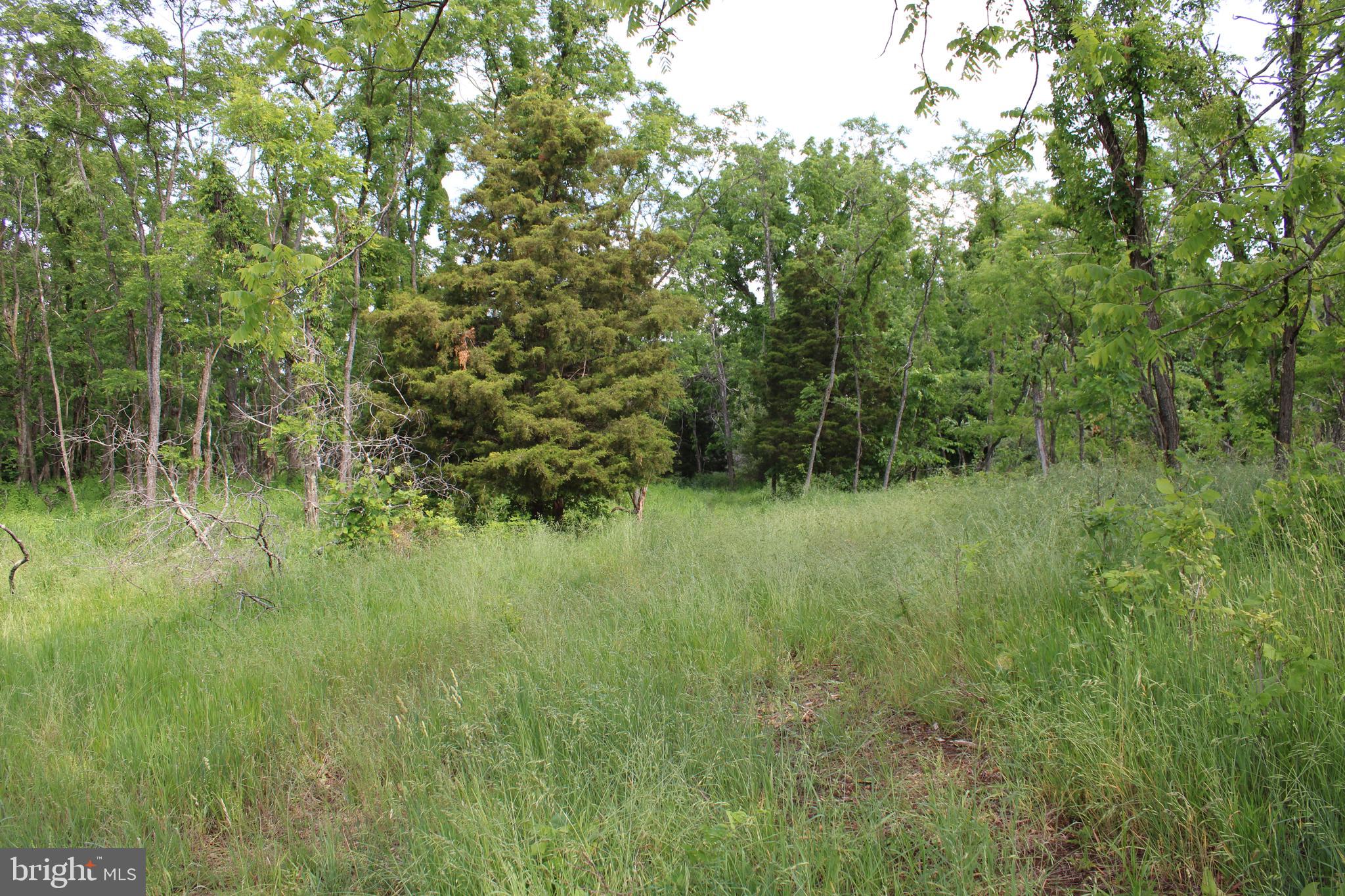 NONE UNRESTRICTED - Land