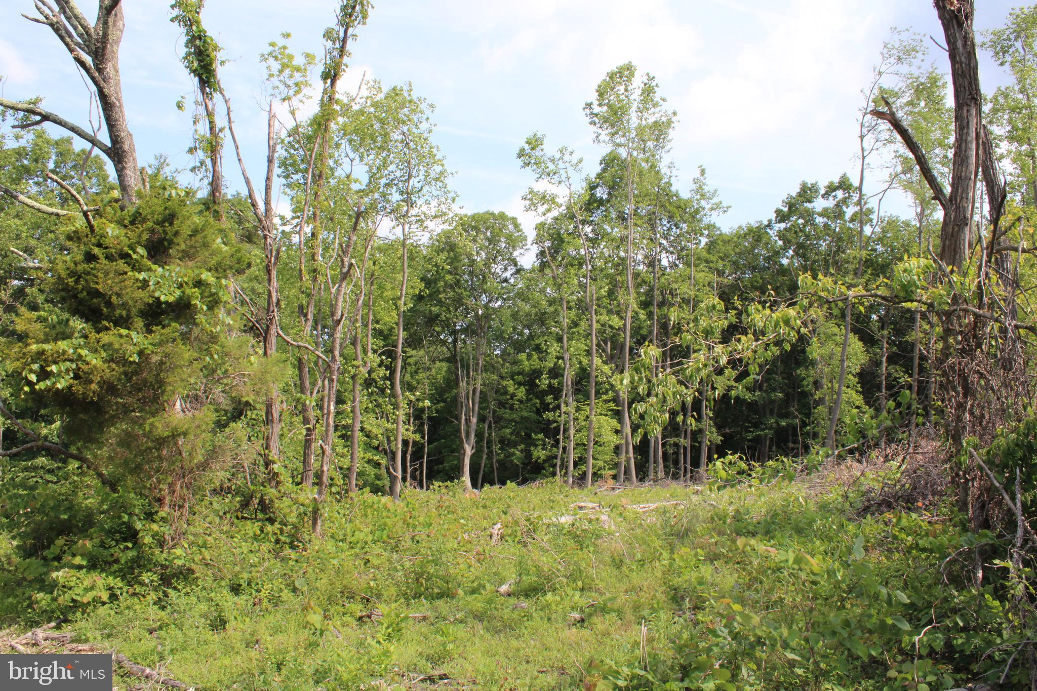 NONE UNRESTRICTED - Land