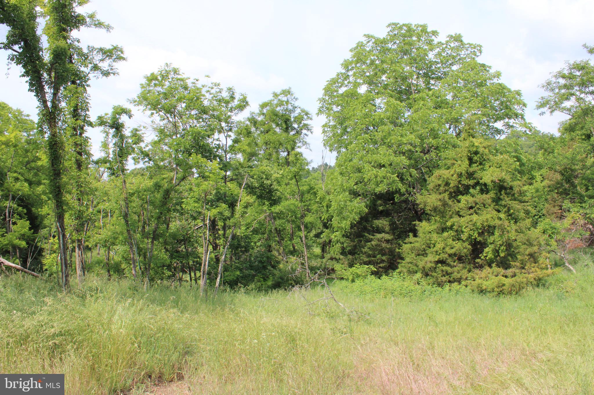 NONE UNRESTRICTED - Land