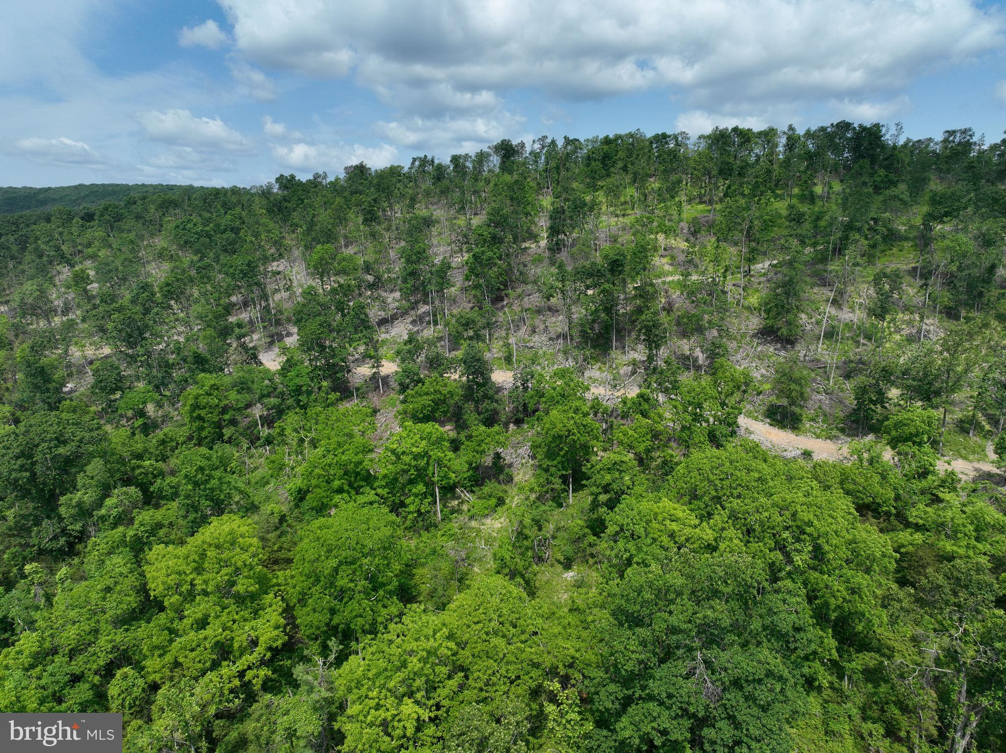 NONE UNRESTRICTED - Land