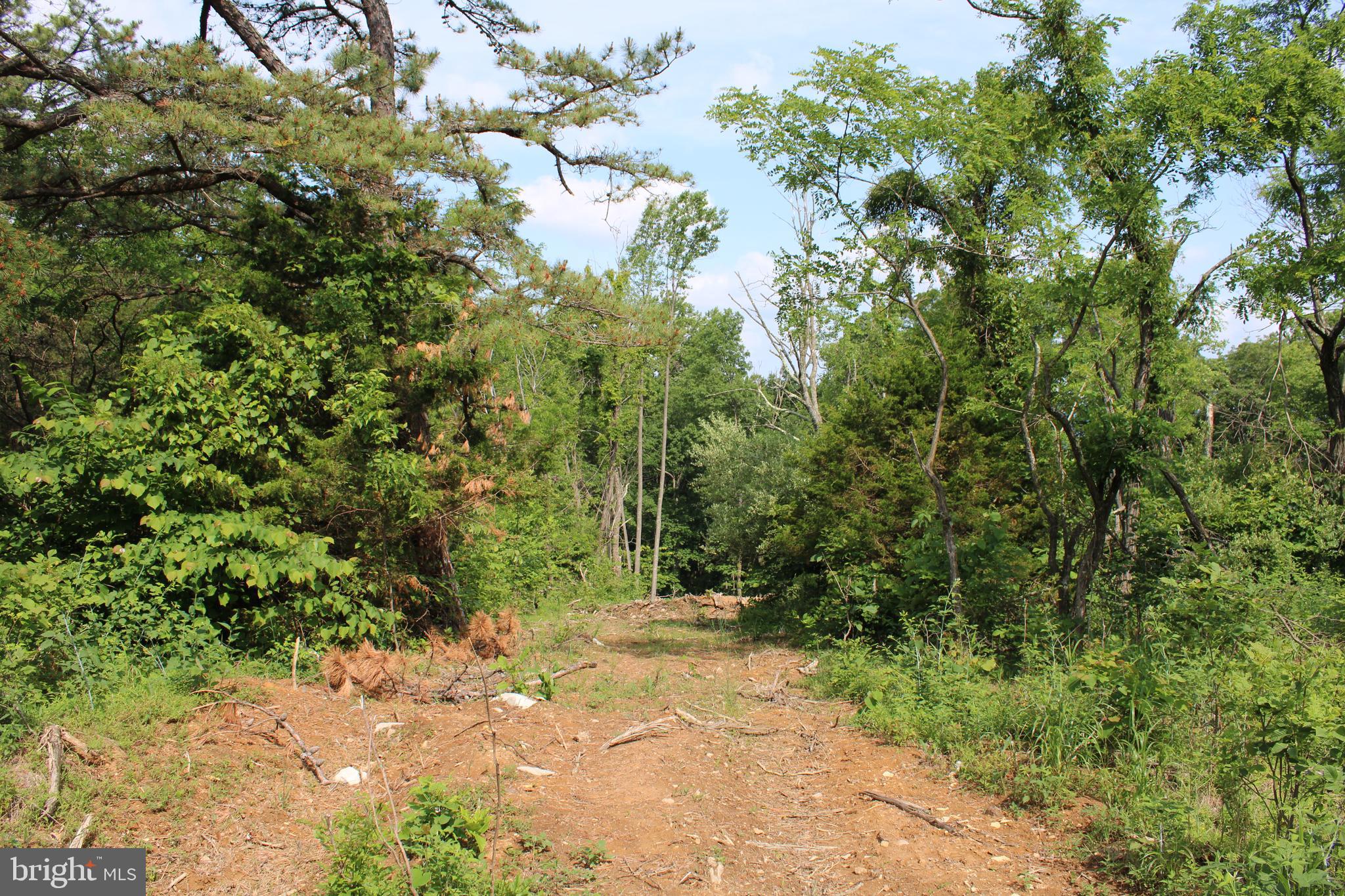 NONE UNRESTRICTED - Land