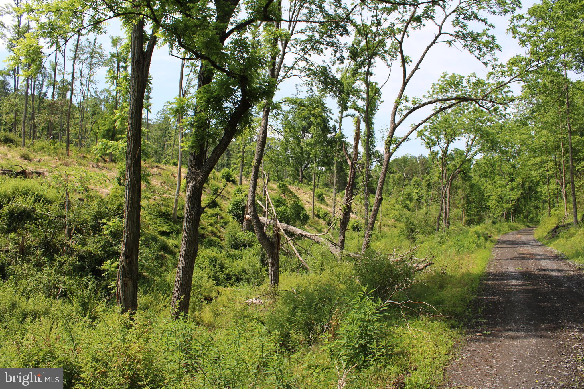 NONE UNRESTRICTED - Land