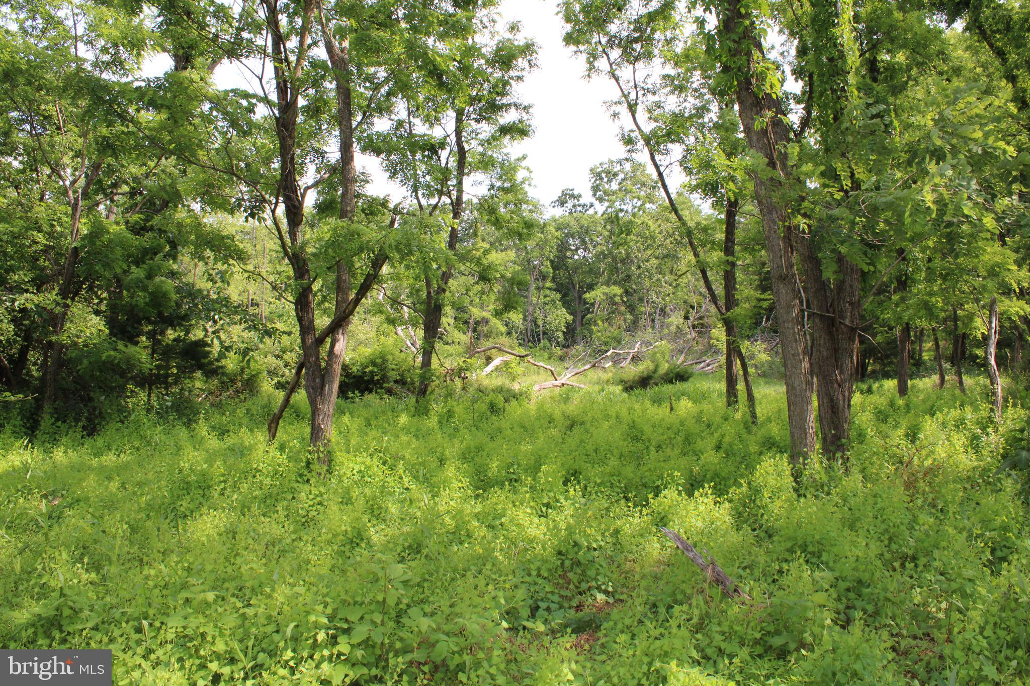 NONE UNRESTRICTED - Land