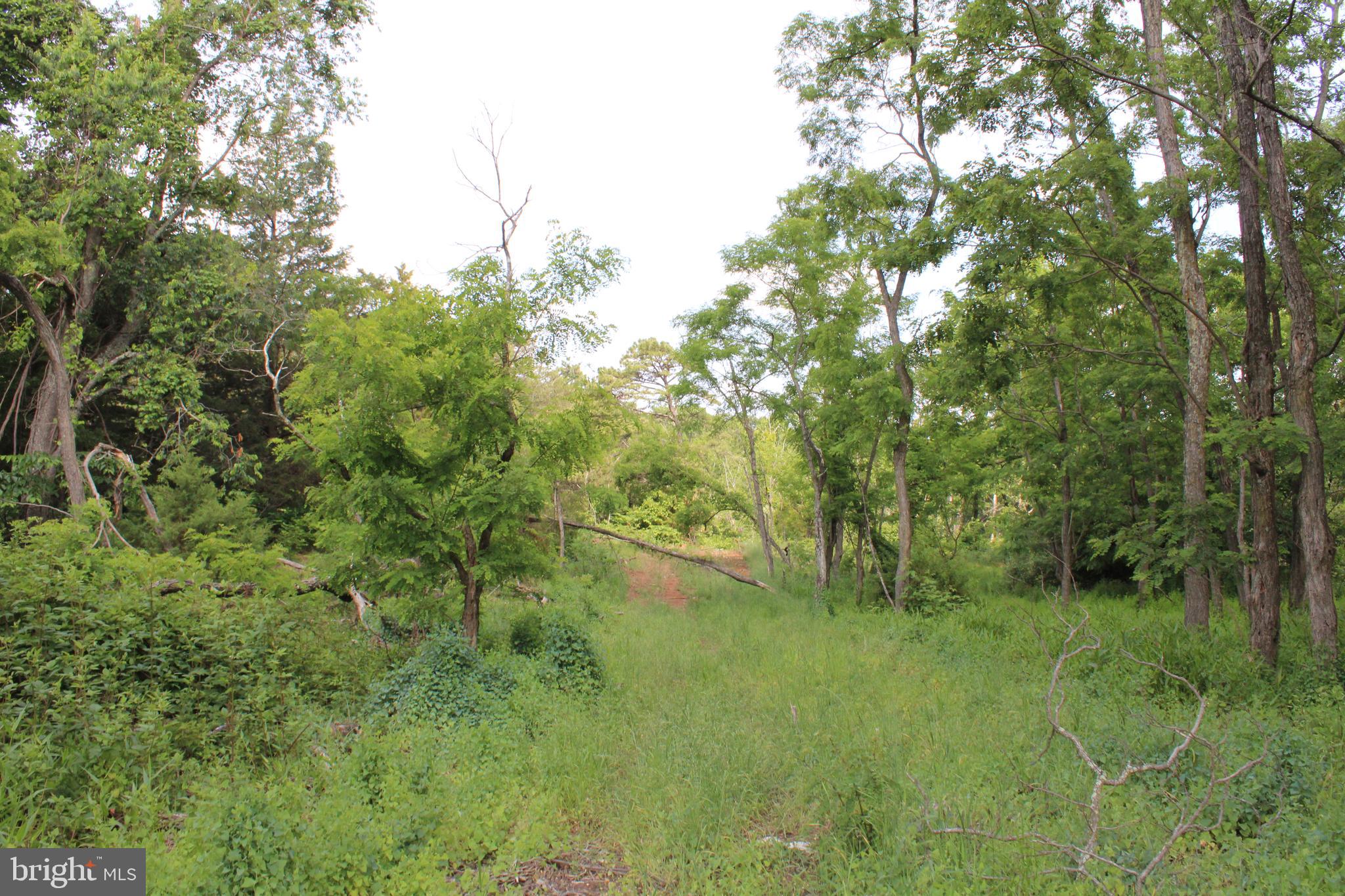 NONE UNRESTRICTED - Land