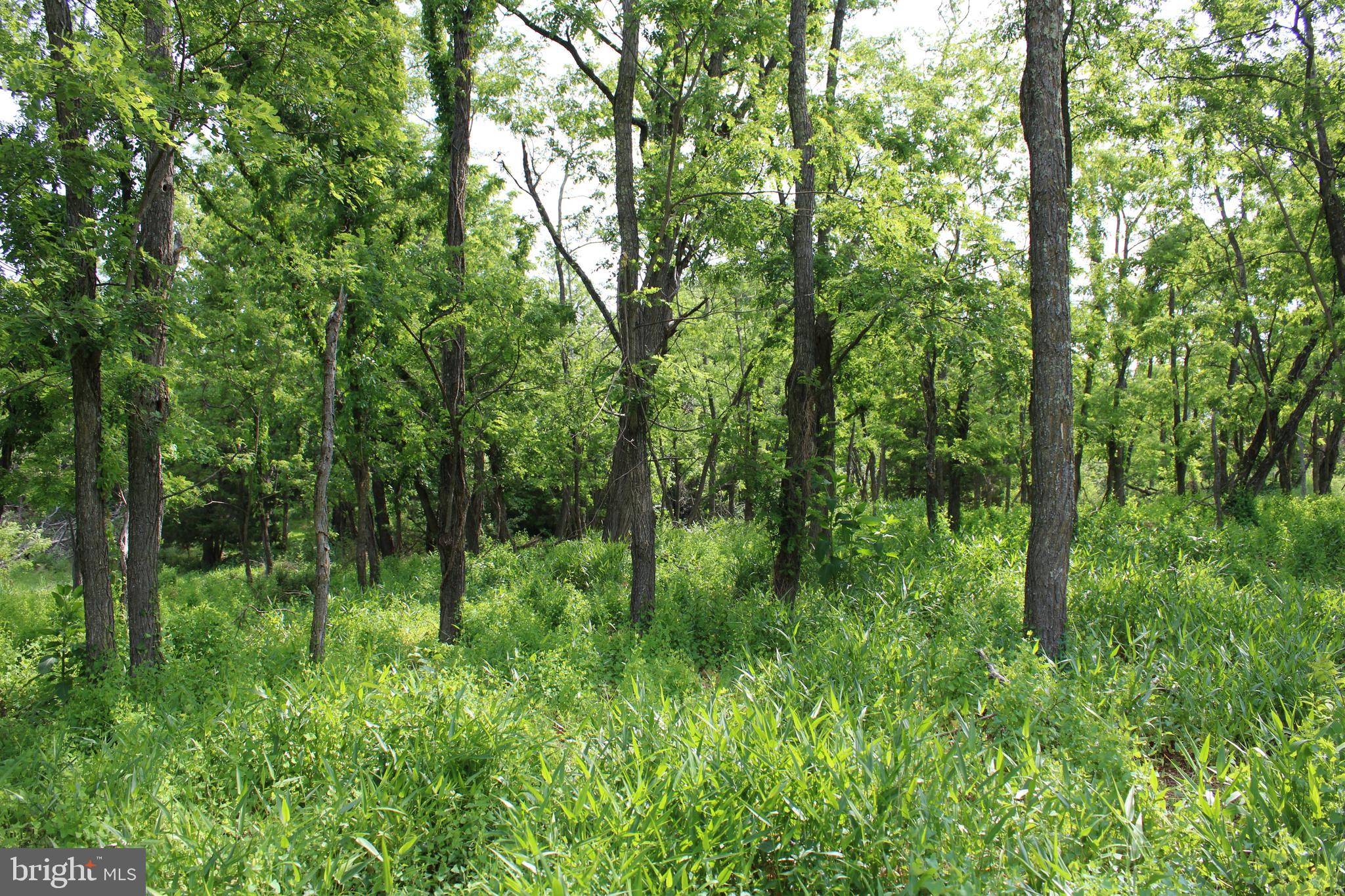 NONE UNRESTRICTED - Land