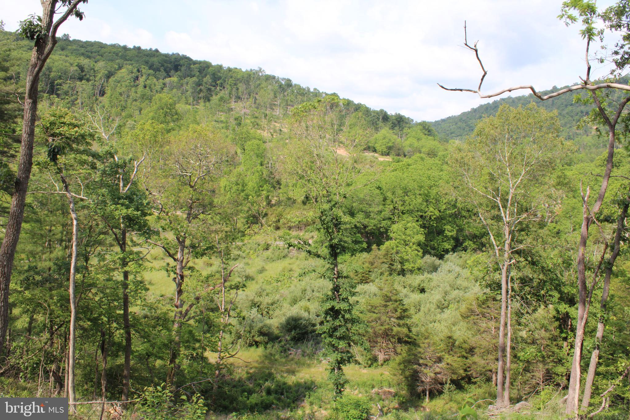 NONE UNRESTRICTED - Land