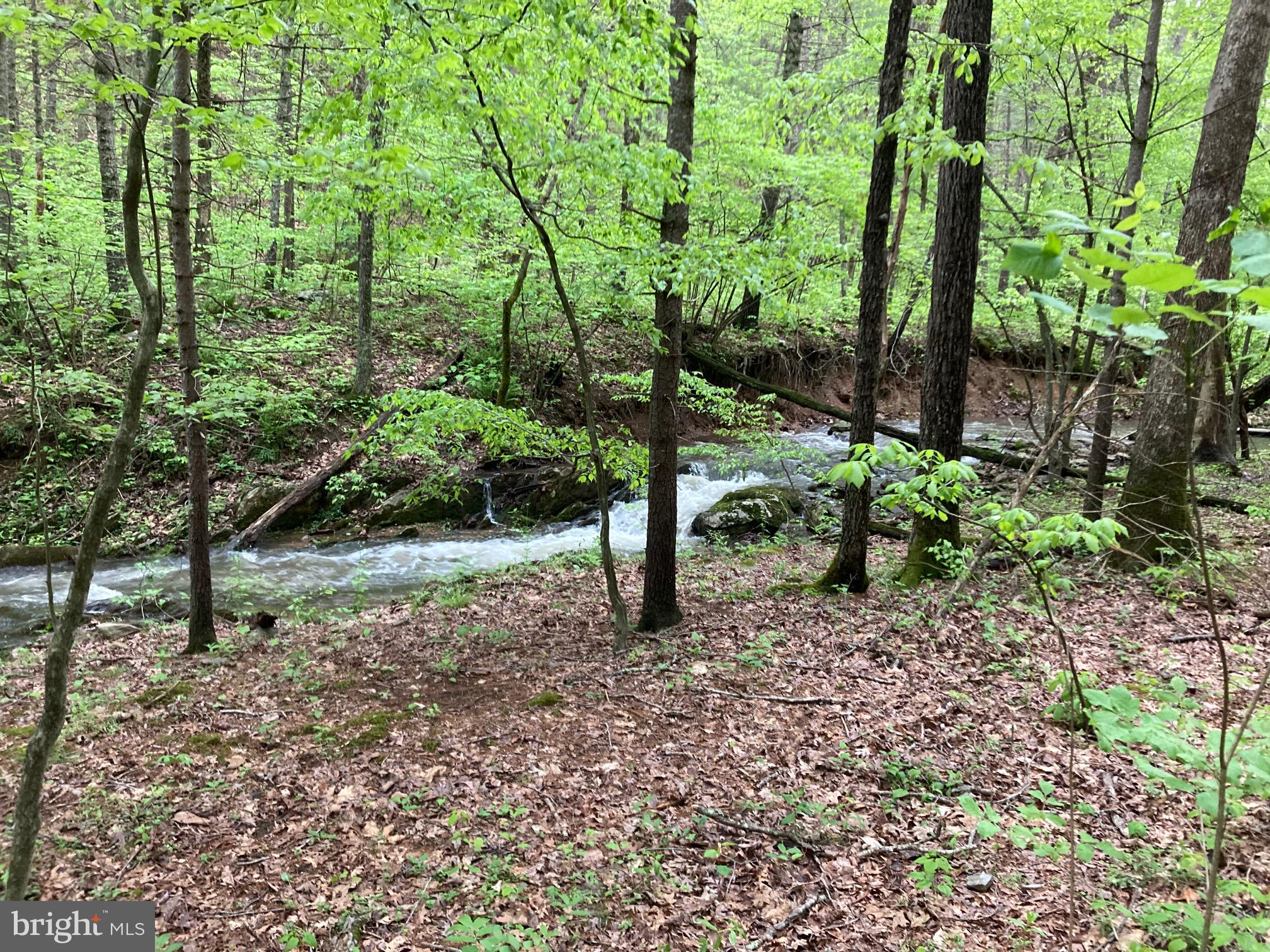 GREEN HILL FOREST - Residential
