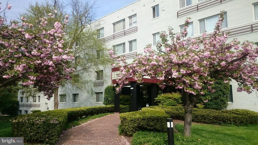 Fantastic value in the heart of Arlington! See yourself living in this spacious one-bedroom centrally located just over a mile from Ballston, within walking to Columbia Pike dining and entertainment, with quick commuter access to DC & Pentagon. Updated bath, brand new carpeting, fresh paint throughout... Condo dues cover ALL utilities, and include pool, xtra storage, & plenty of resident parking