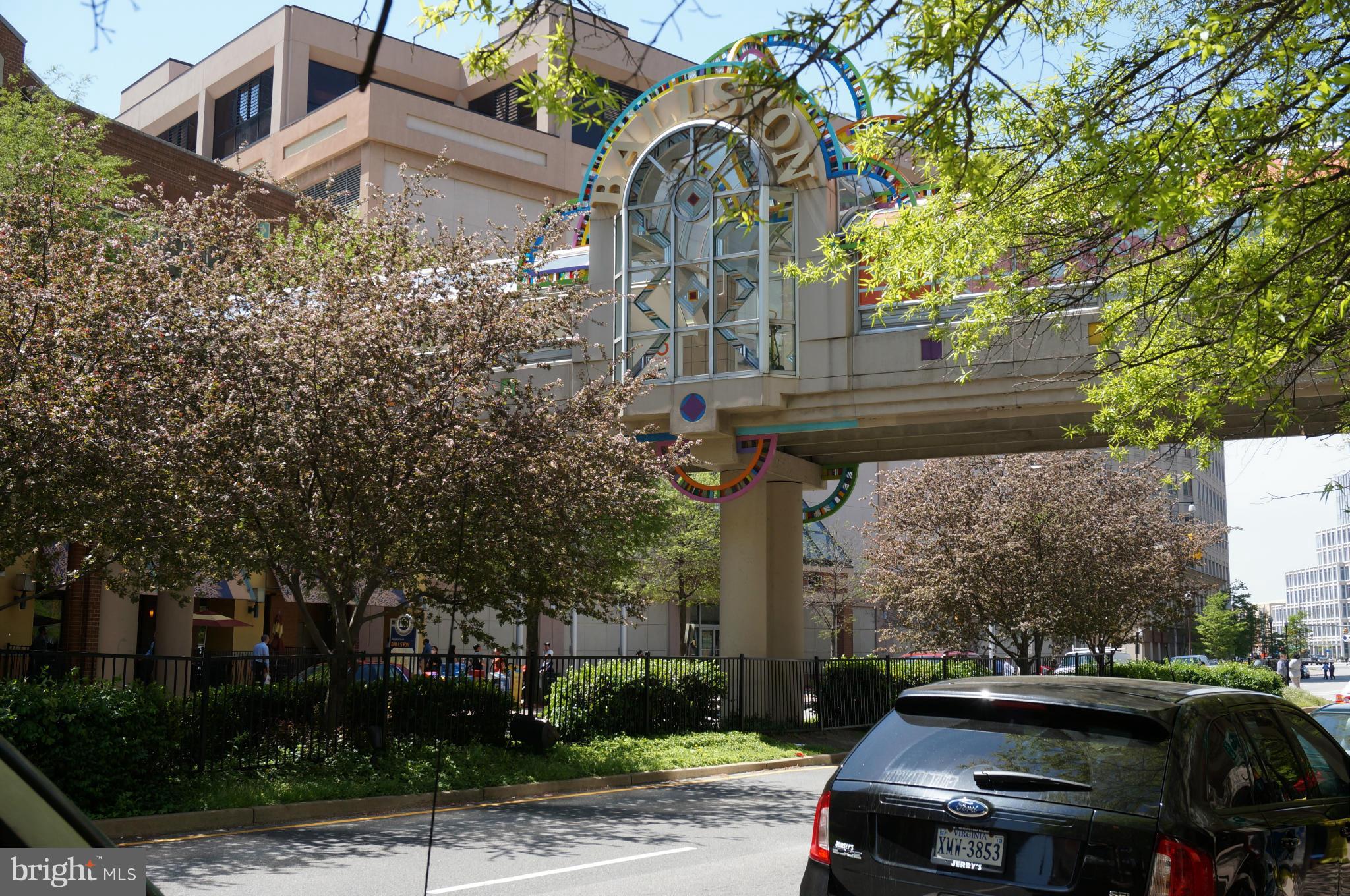 STRATTON HOUSE - Residential