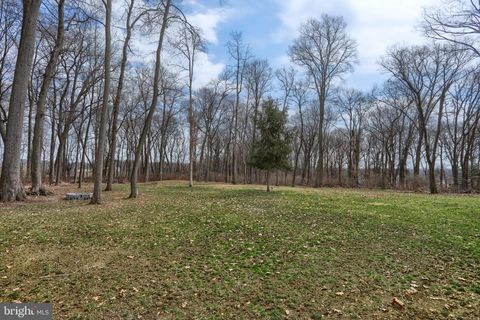 listing image 41