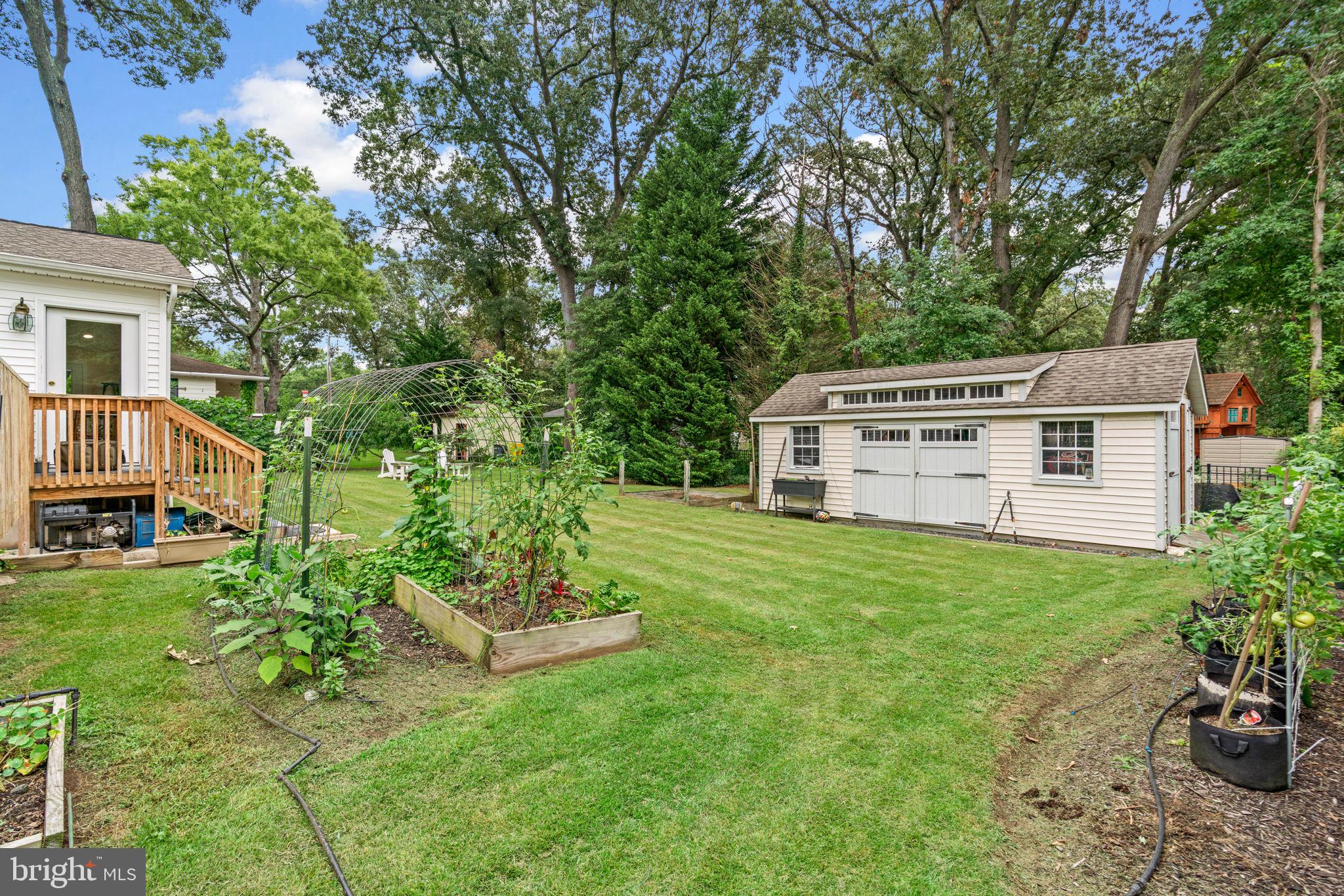 CAPE ARTHUR - Residential