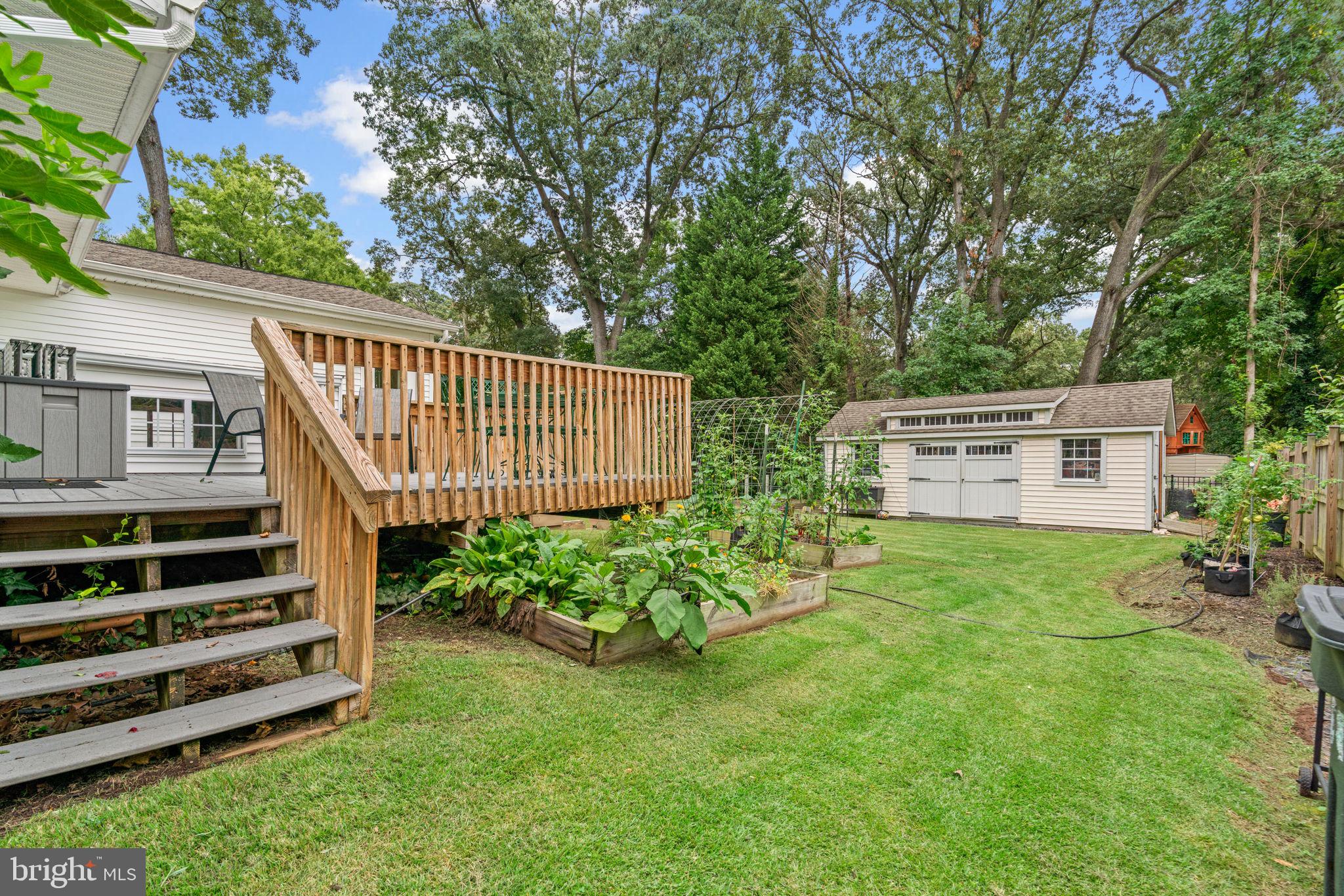 CAPE ARTHUR - Residential