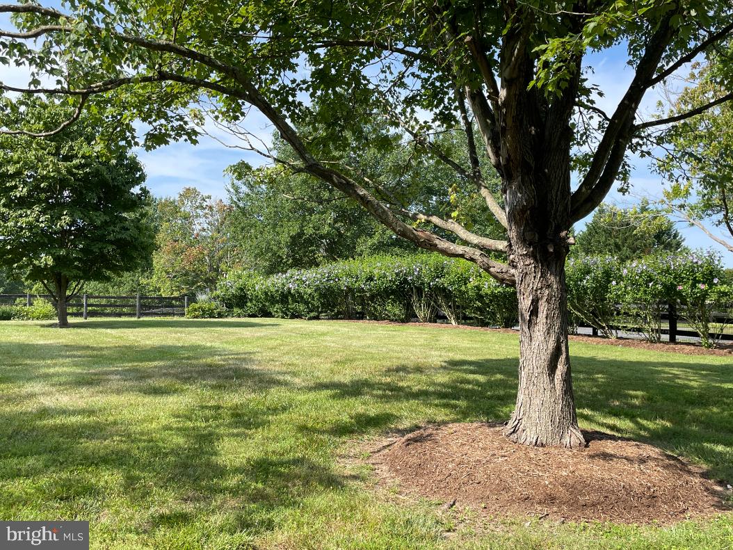 ATOKA CHASE - Residential