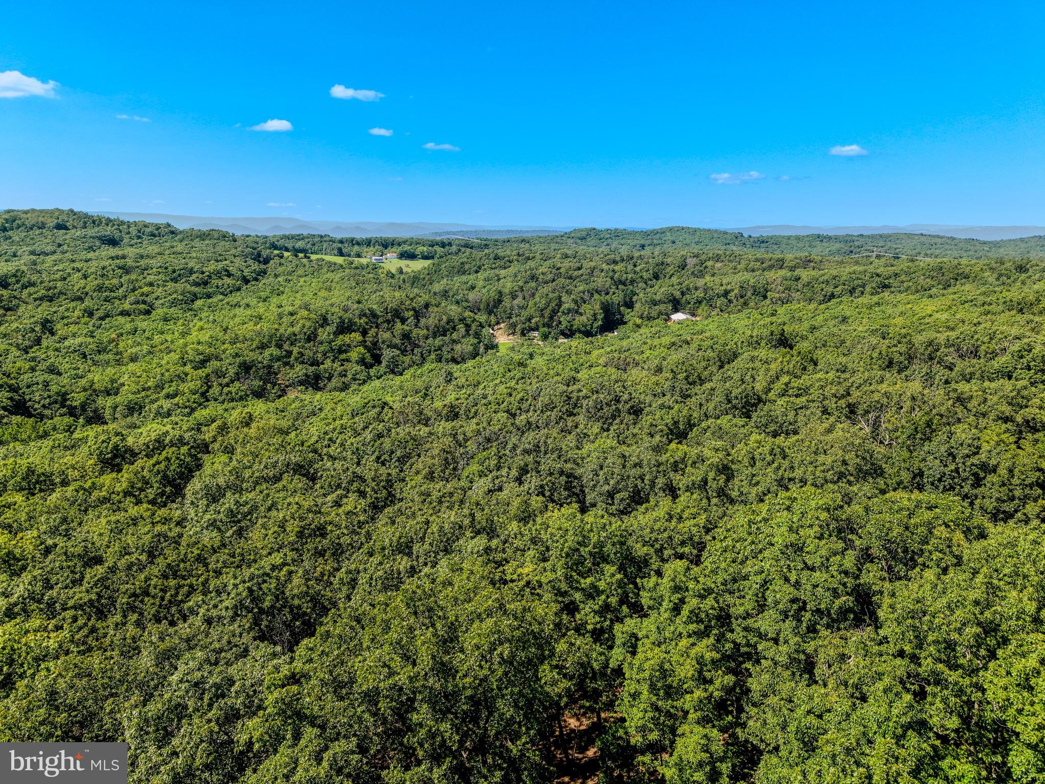 15ac GOLDSBOROUGH RD