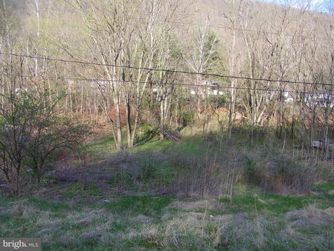 Vacant Land For Sale - Route 36 Road<br/> Allegany County, WESTERNPORT, MD 21562
