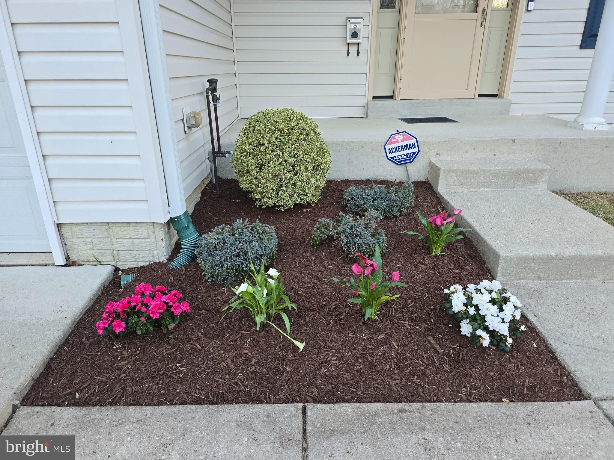 AMBER MEADOWS - Residential