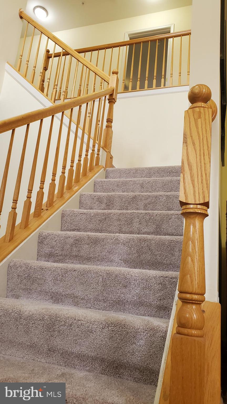 AMBER MEADOWS - Residential