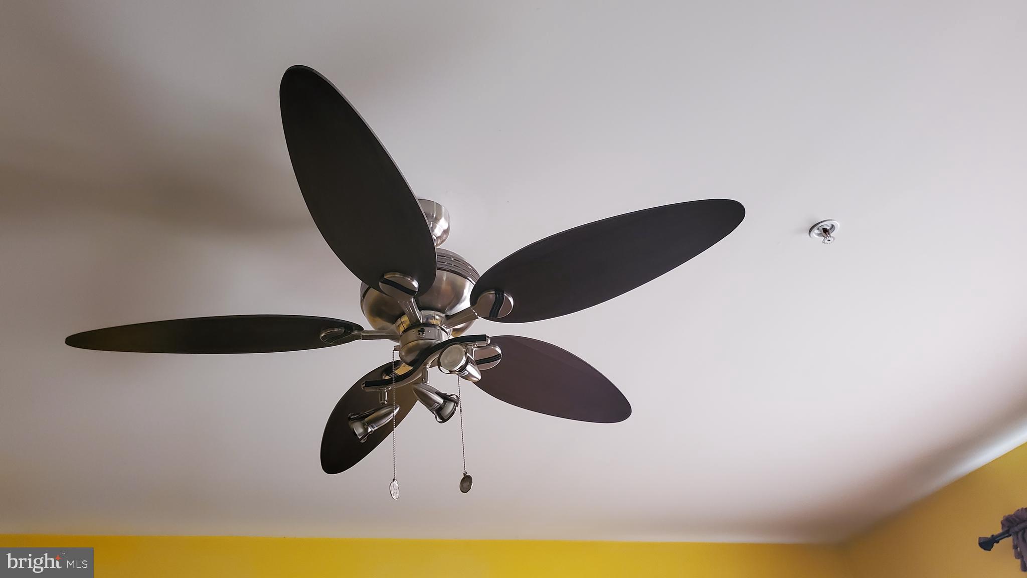 AMBER MEADOWS - Residential