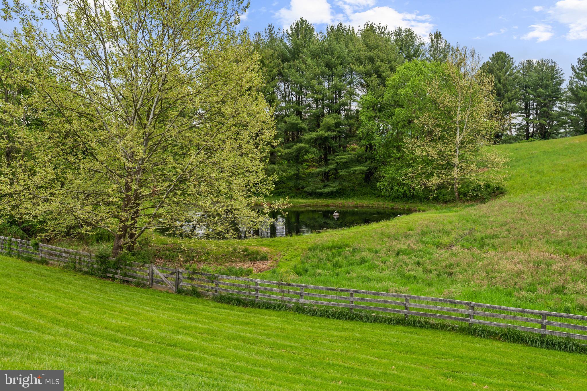 COCKEYSVILLE/HUNT VALLEY - Residential