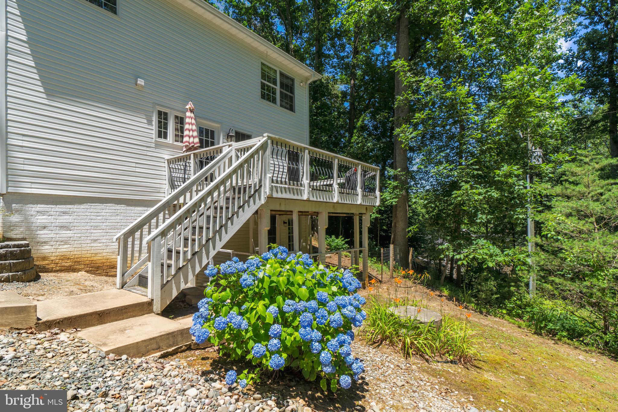 RASPBERRY - Residential