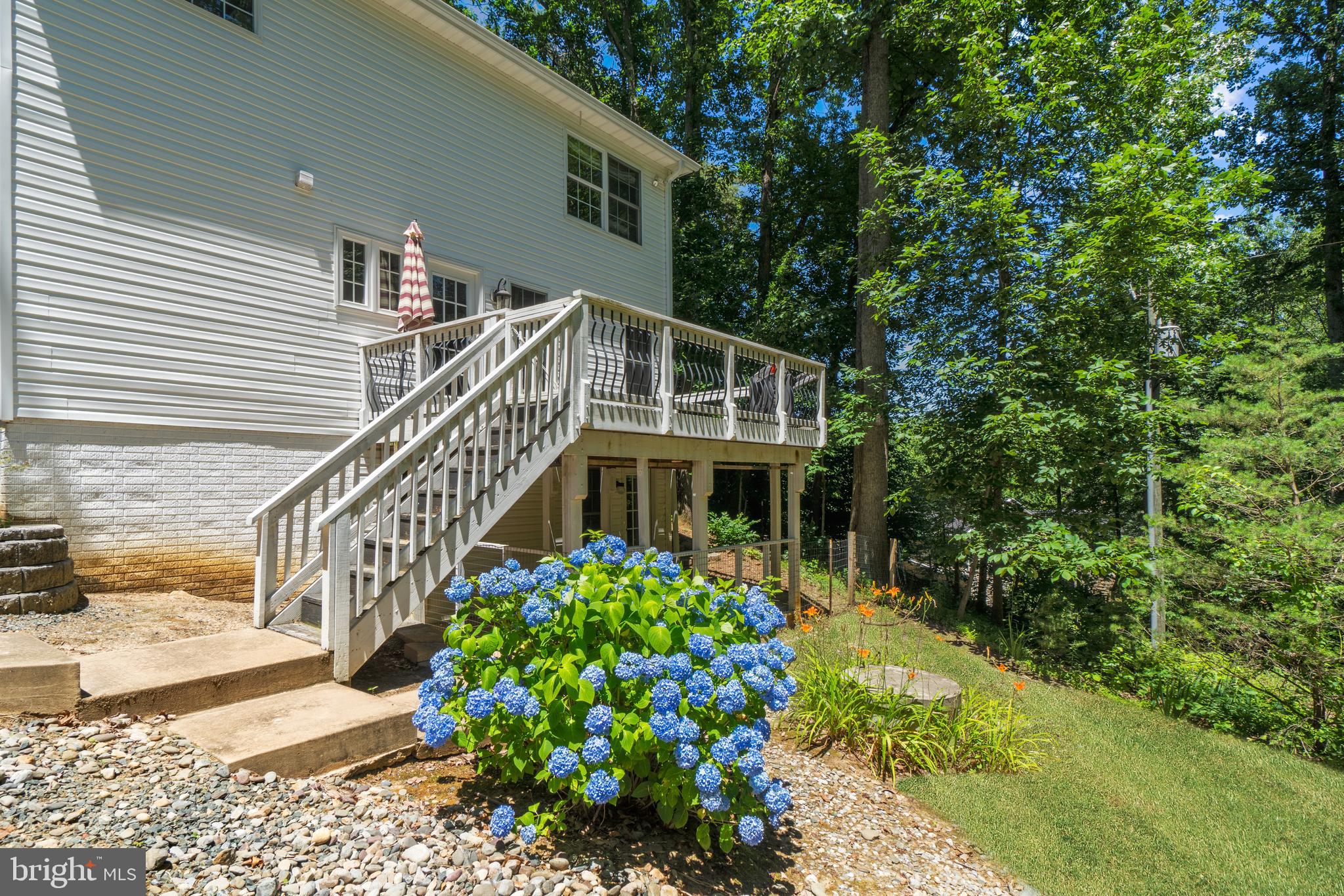 RASPBERRY - Residential