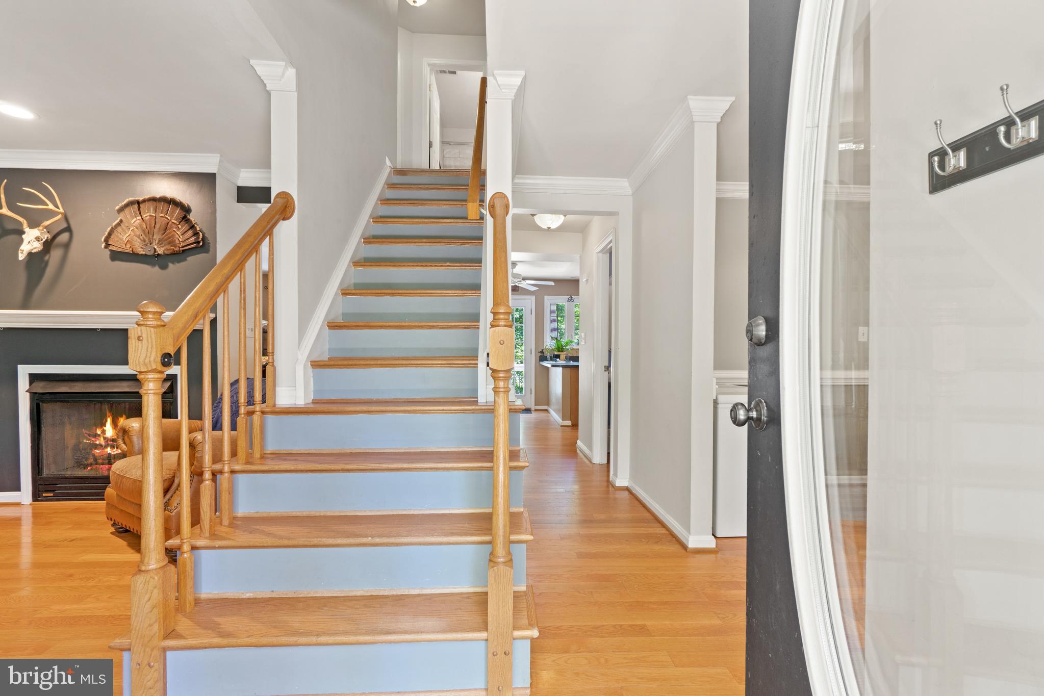 RASPBERRY - Residential