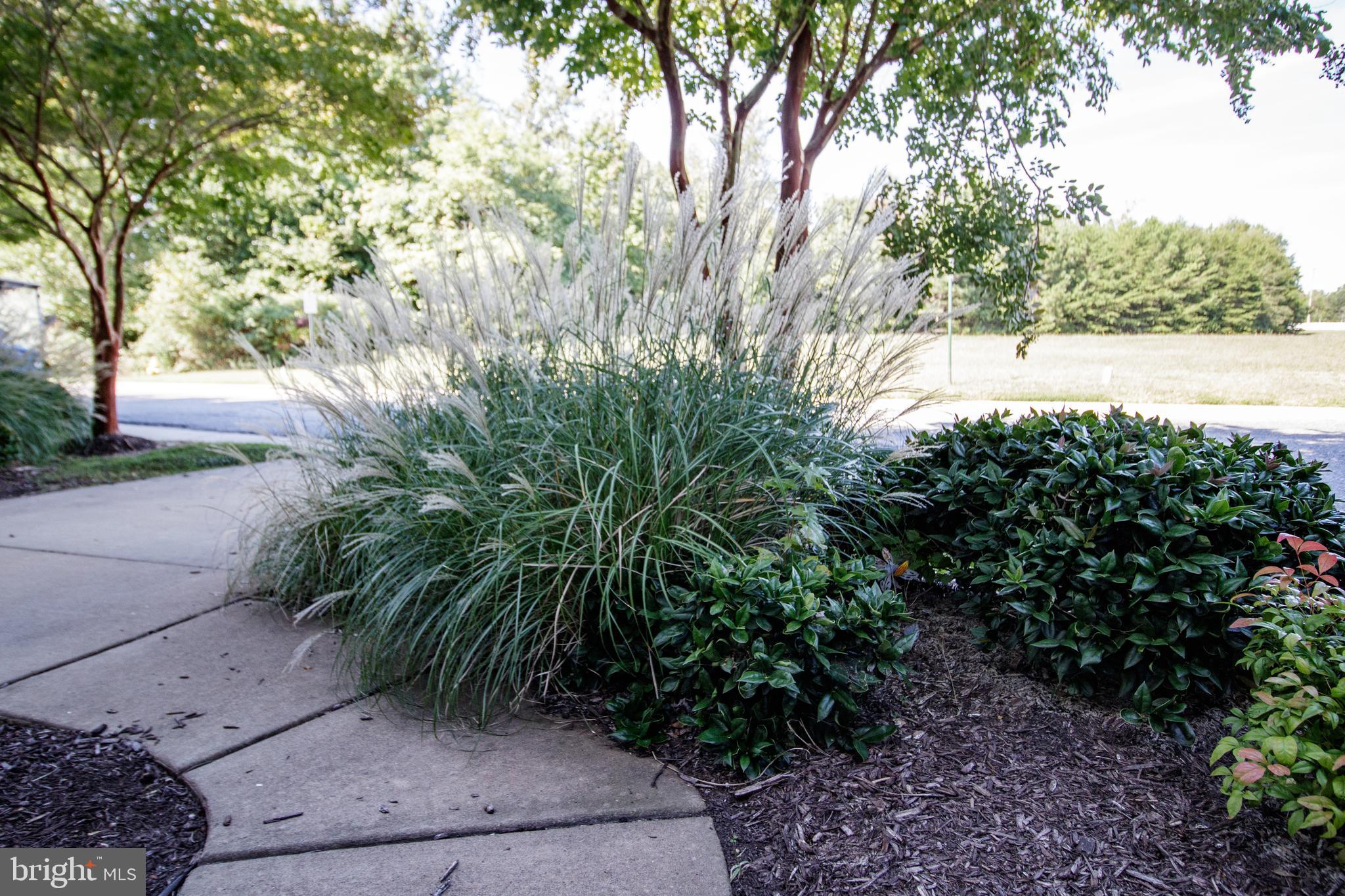 J N ROLLINS - Residential