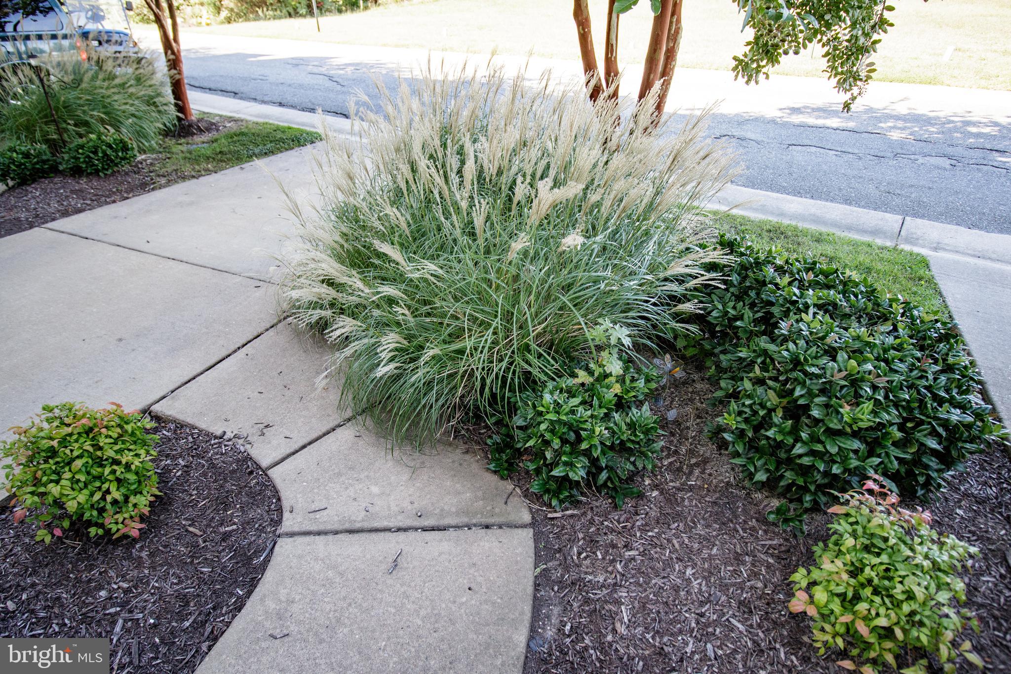 J N ROLLINS - Residential