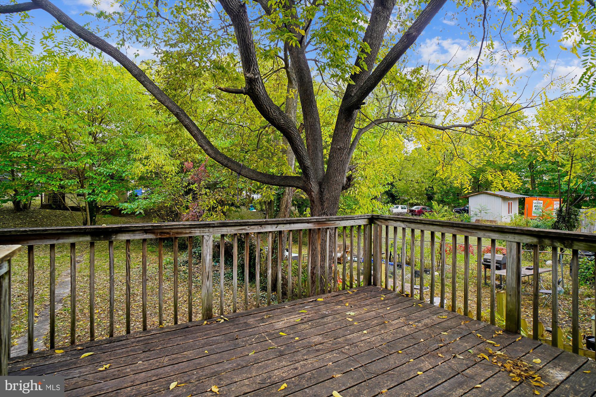 CITY PARK - Residential