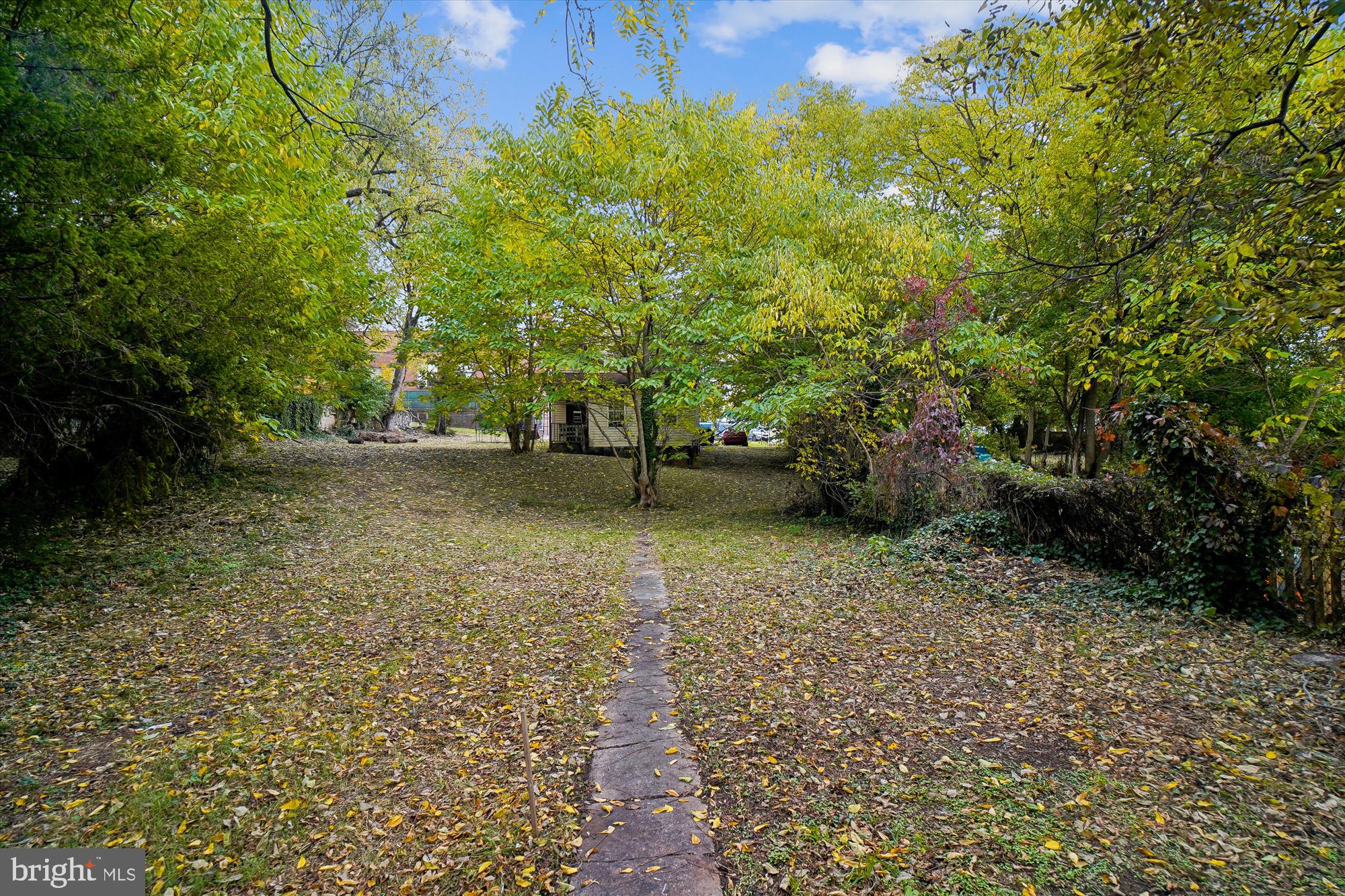 CITY PARK - Residential