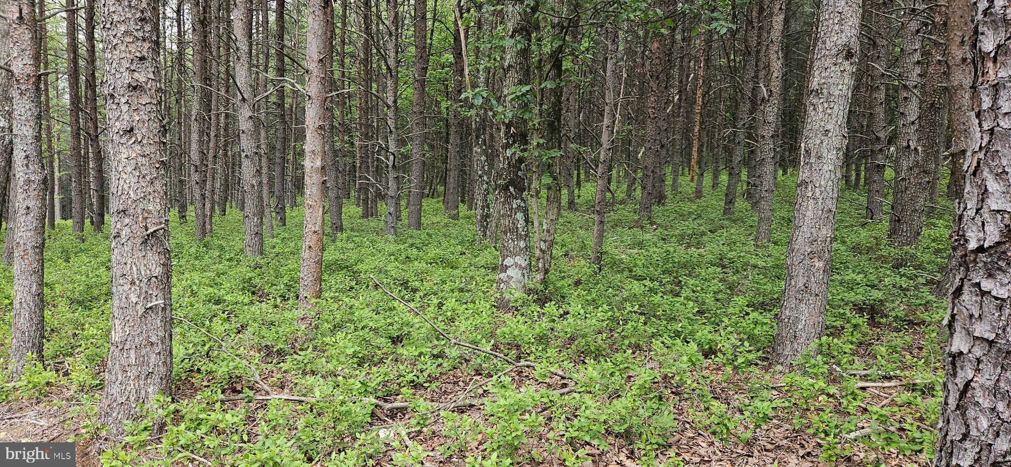 RIVER RIDGE - Residential