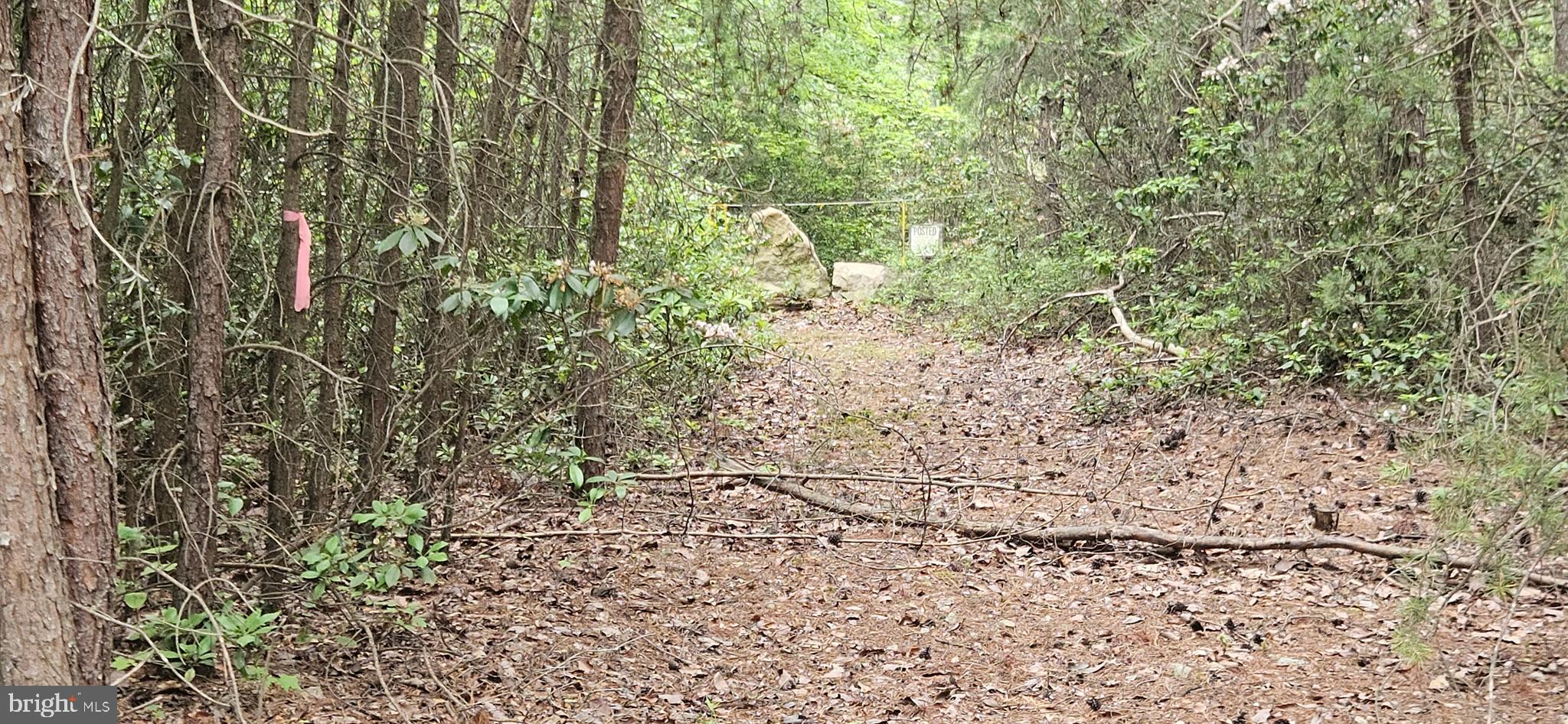 RIVER RIDGE - Residential