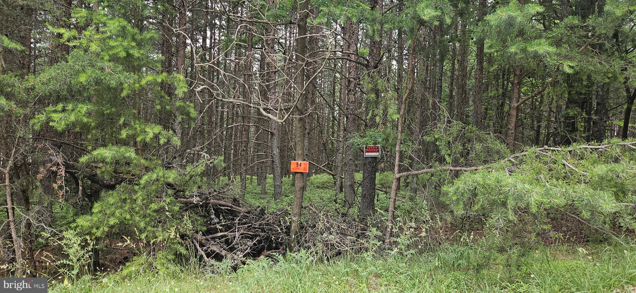 RIVER RIDGE - Residential