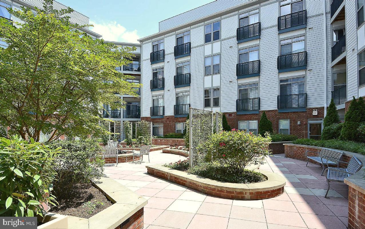 1800 WILSON - Residential Lease