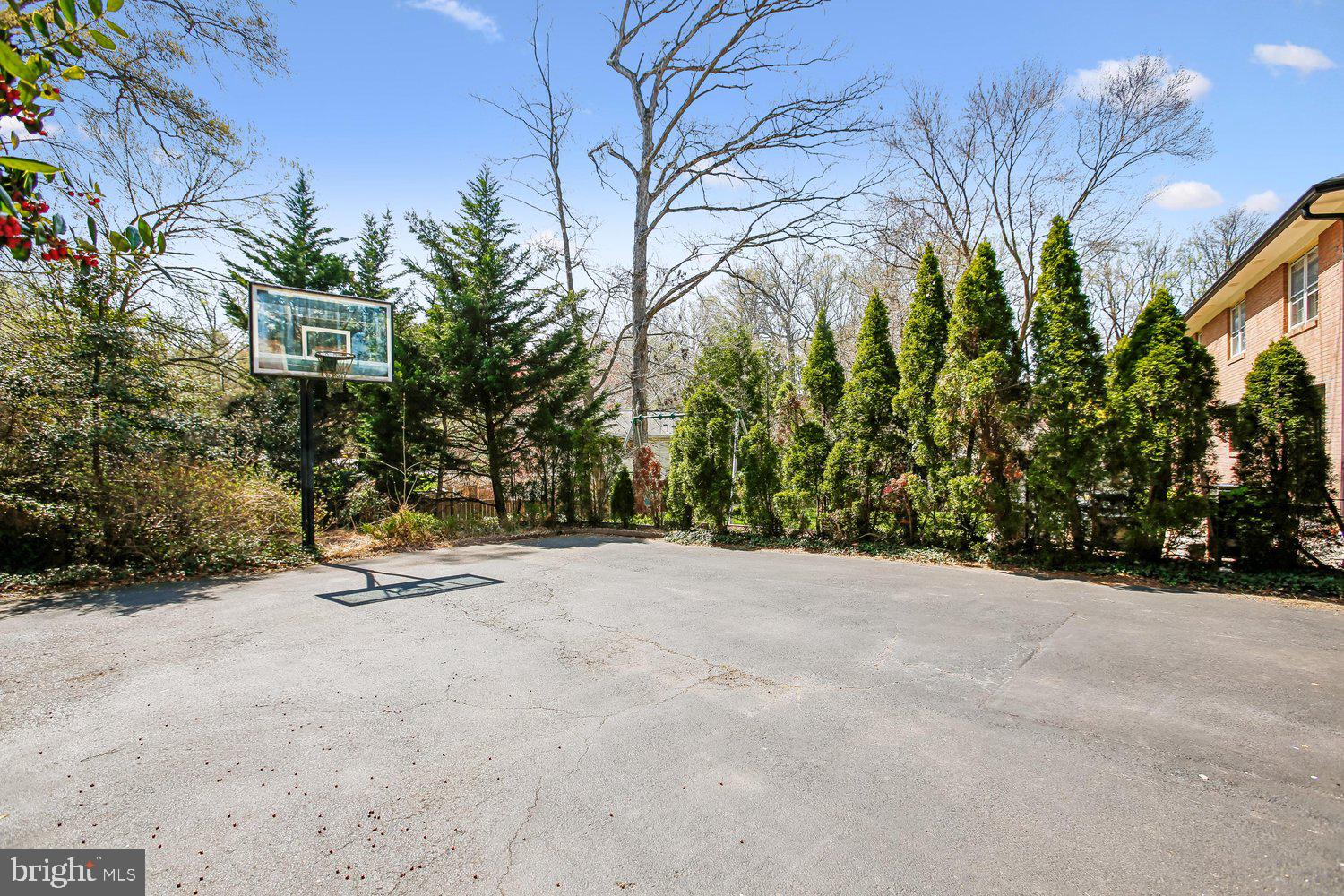 CHAIN BRIDGE FOREST - Residential