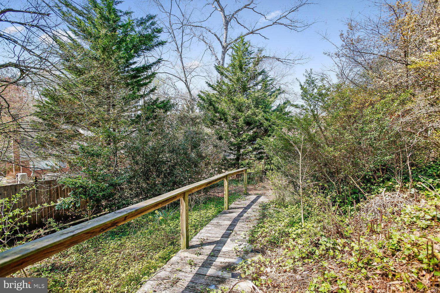CHAIN BRIDGE FOREST - Residential