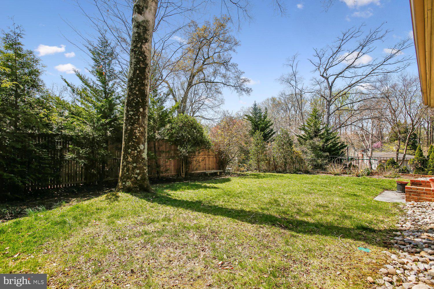 CHAIN BRIDGE FOREST - Residential