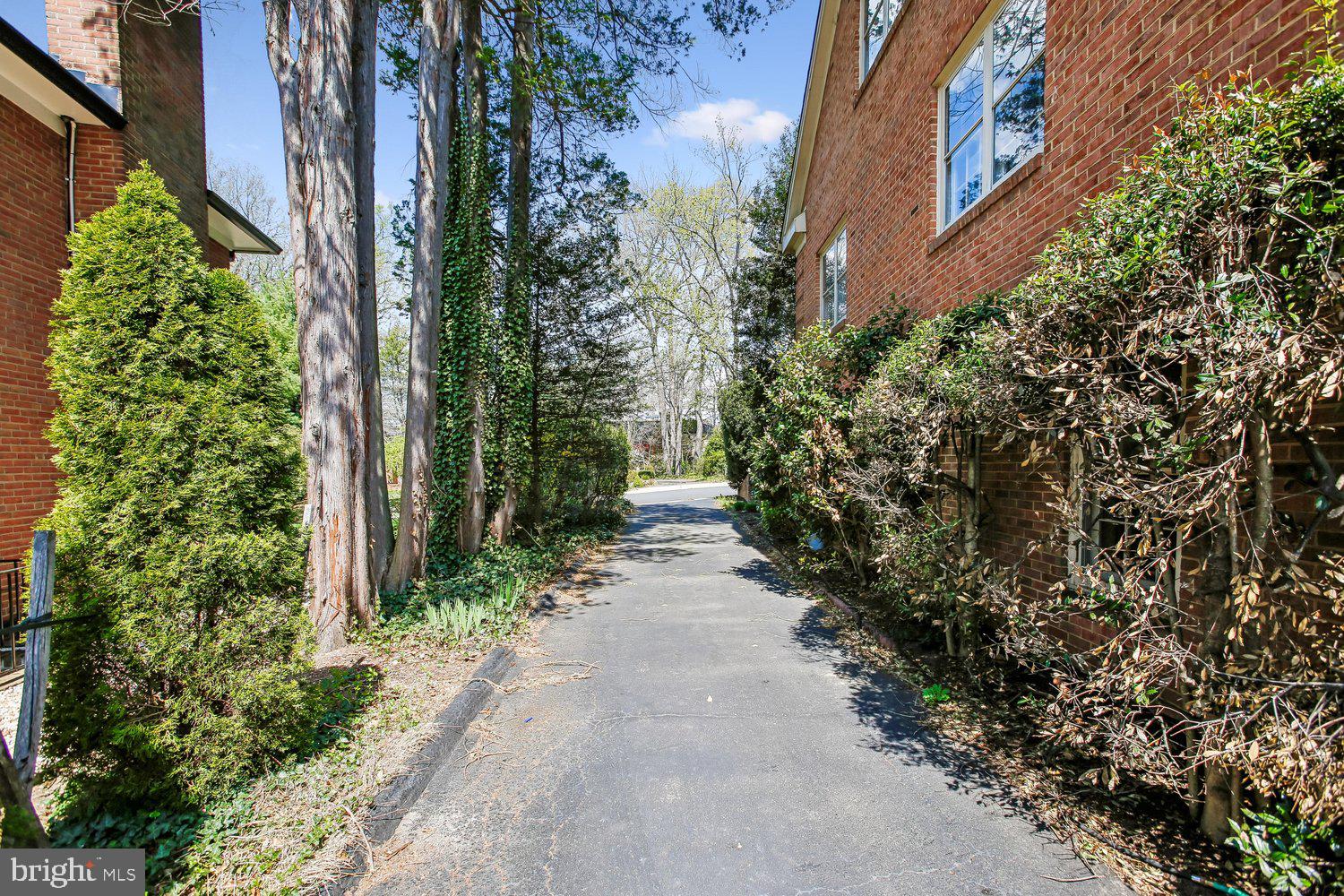 CHAIN BRIDGE FOREST - Residential