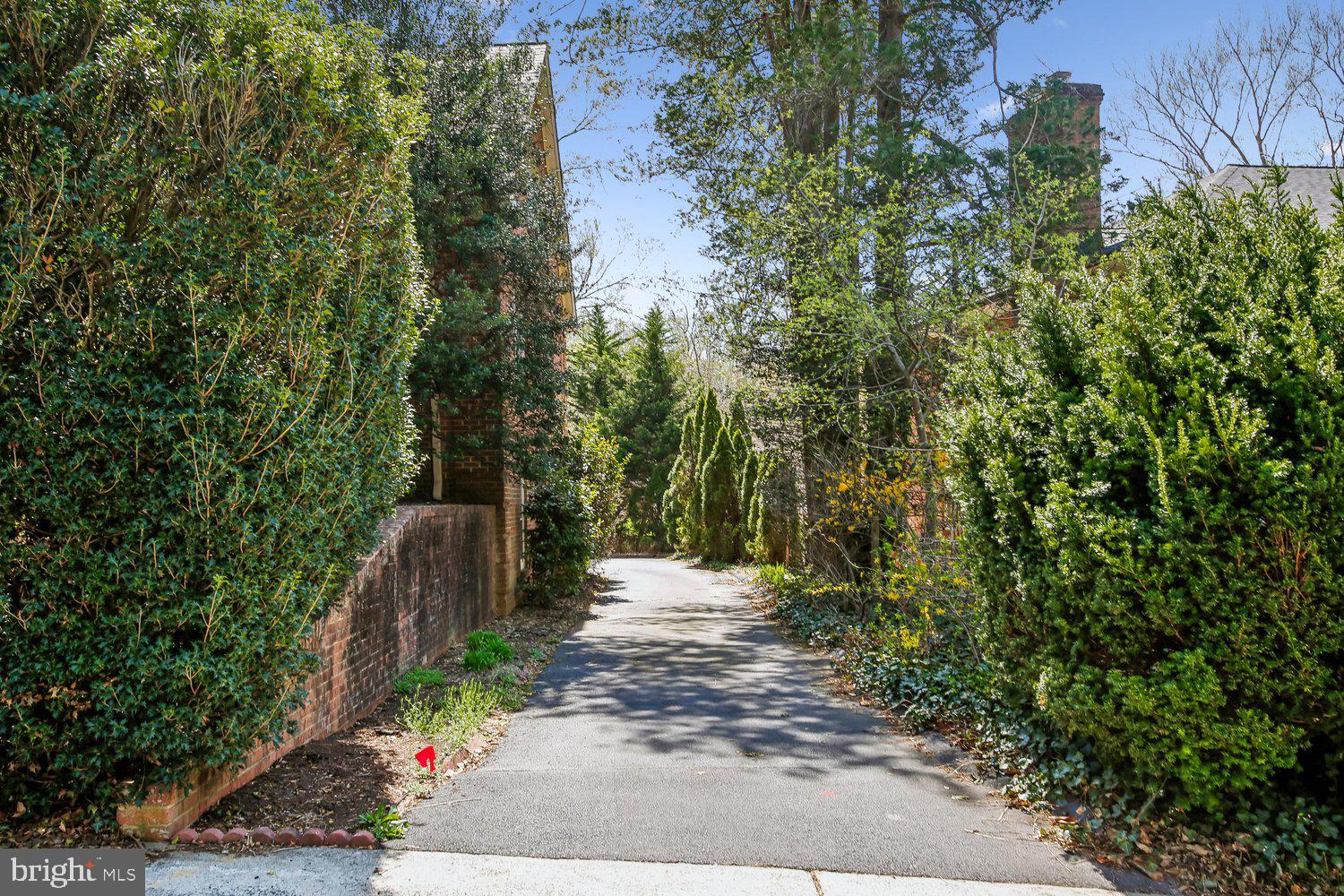 CHAIN BRIDGE FOREST - Residential