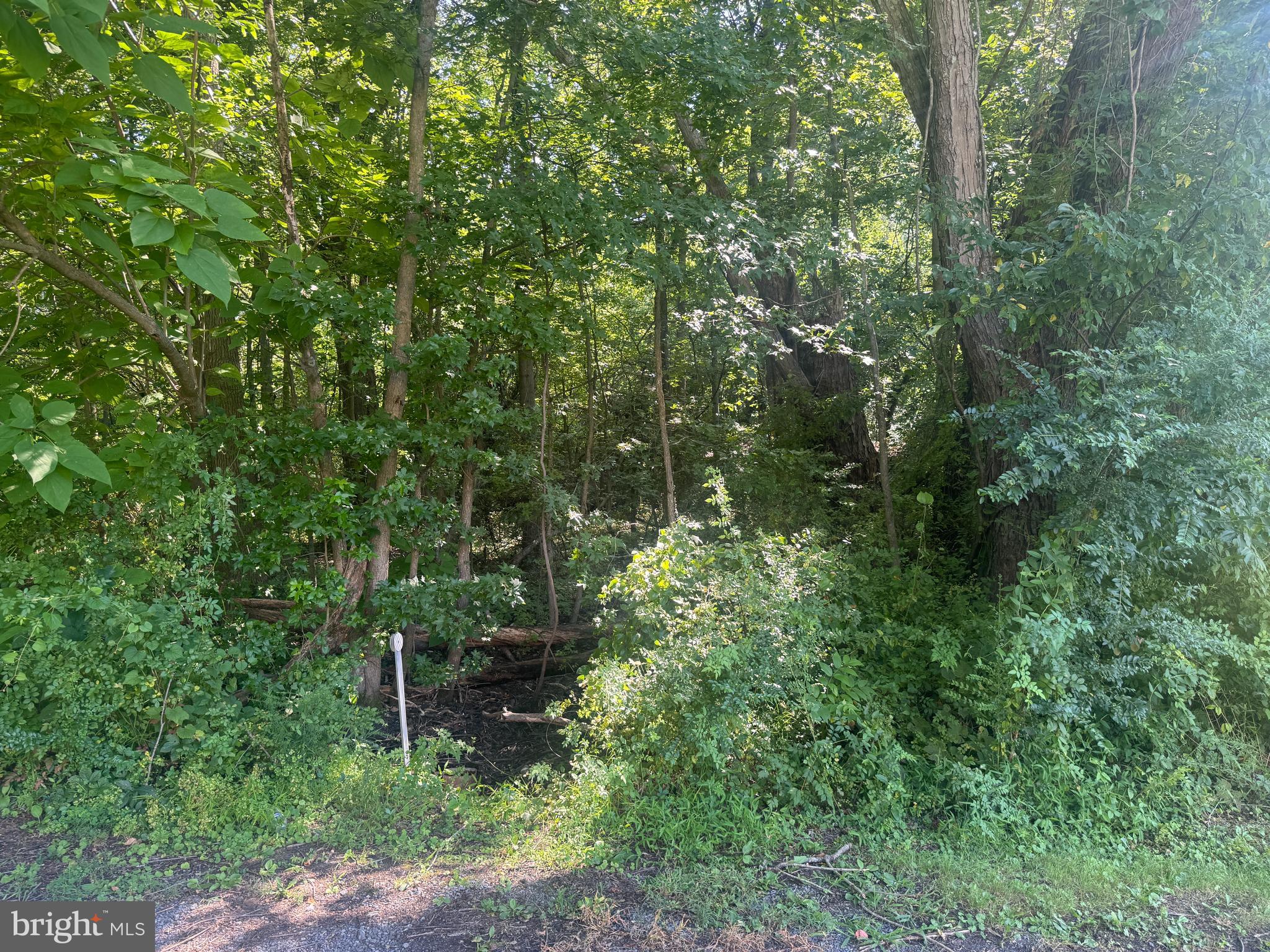 ALLENS LANE