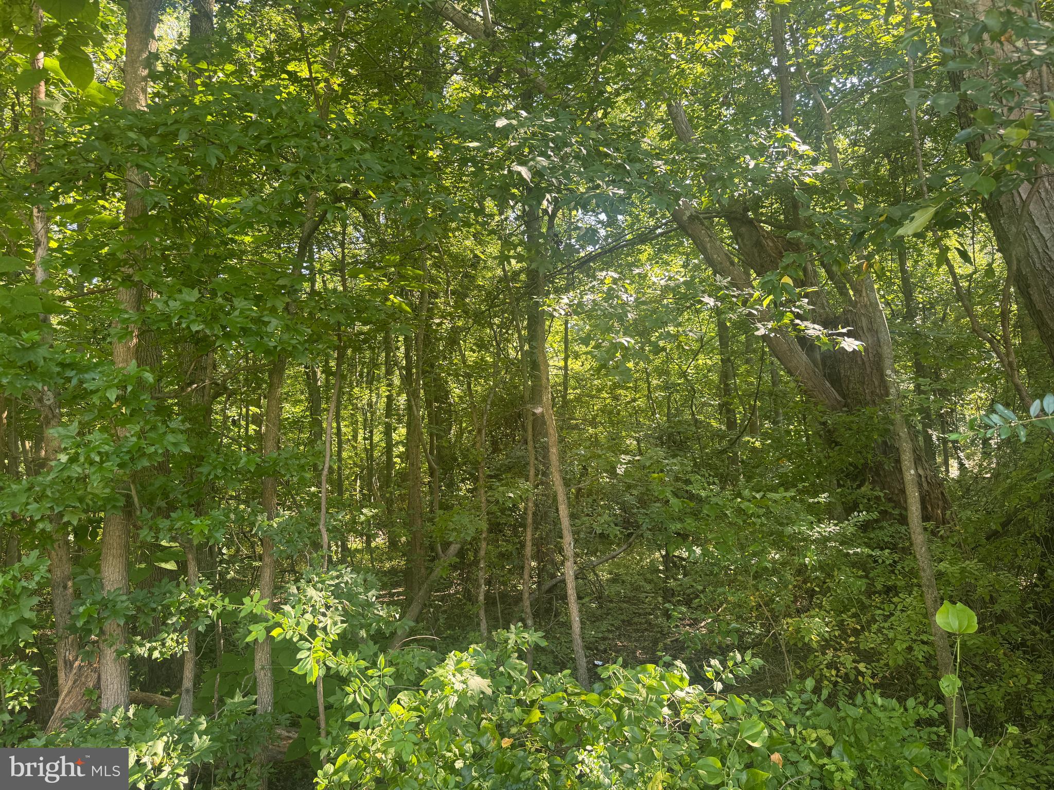 ALLENS LANE