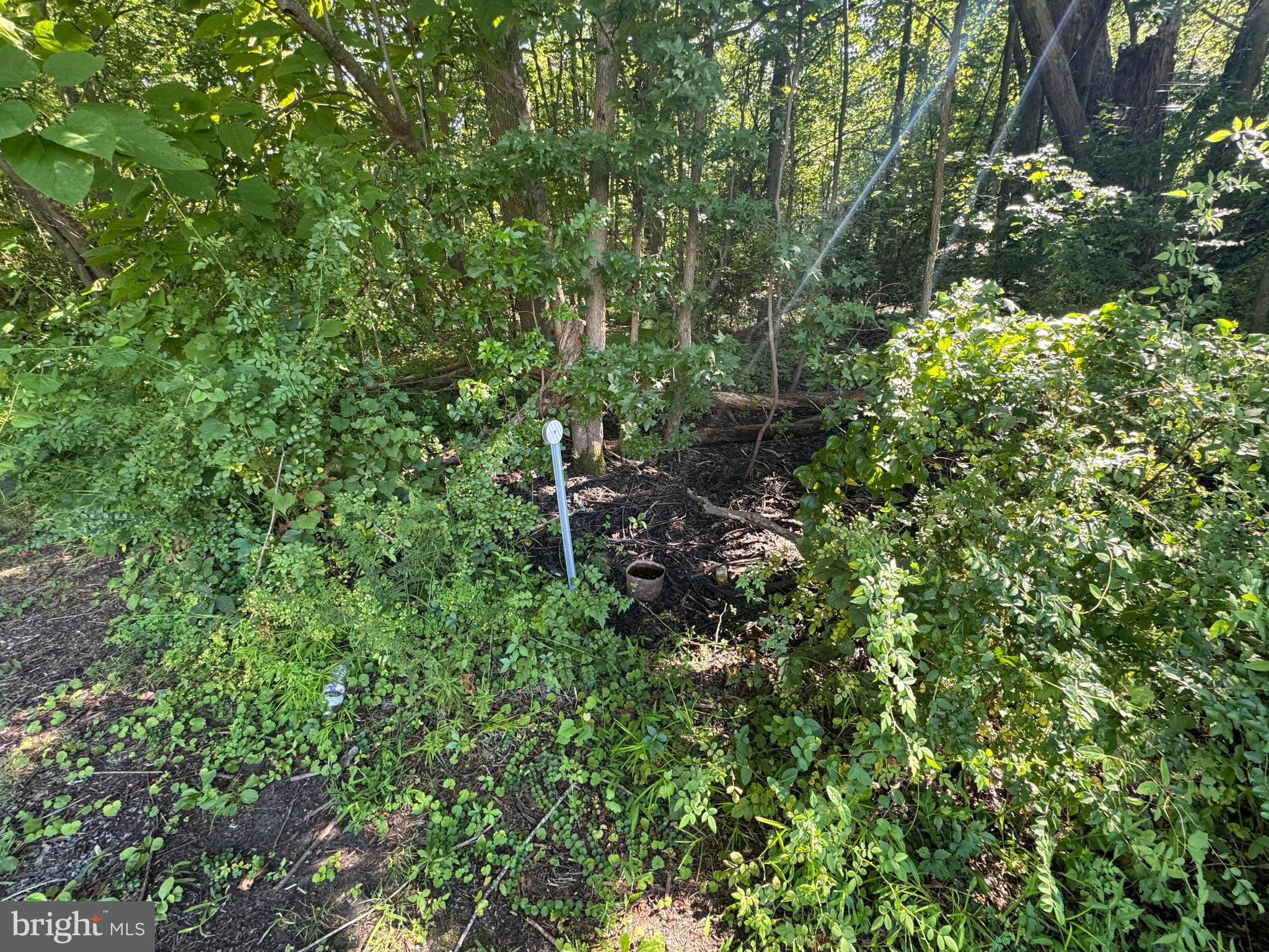 ALLENS LANE