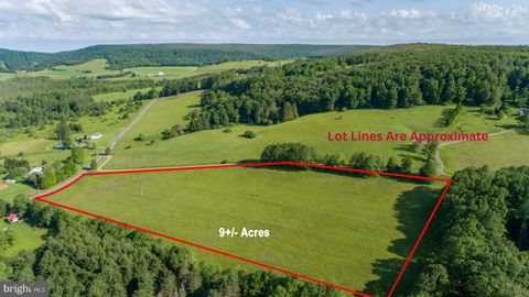 ±9 ACRES CRANESVILLE ROAD OAKLAND MD 21550
